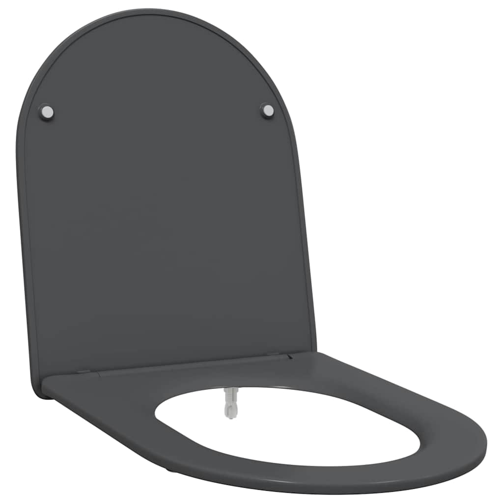 Assento de Toilette de Liberação Rápida Antracite