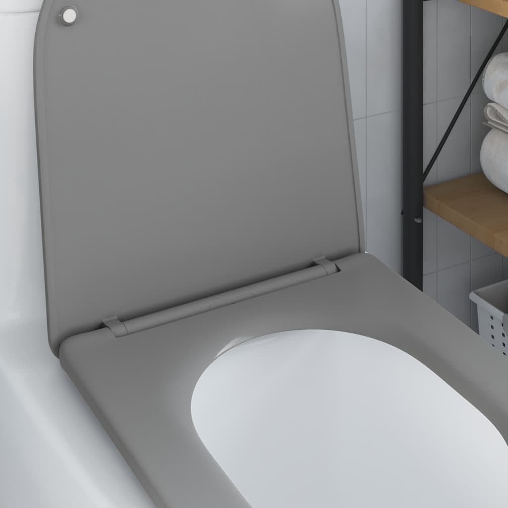 Assento de Toilette de Liberação Rápida Cinzeto