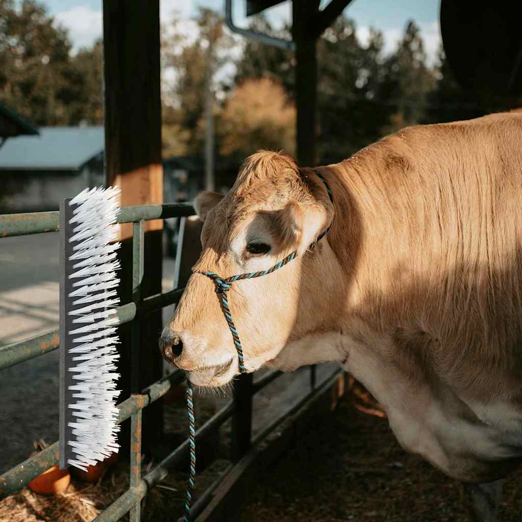 Escovas para Gado Preto e Branco 50 x 10 x 6,5 cm