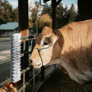 Escovas para Gado Preto e Branco 50 x 10 x 6,5 cm