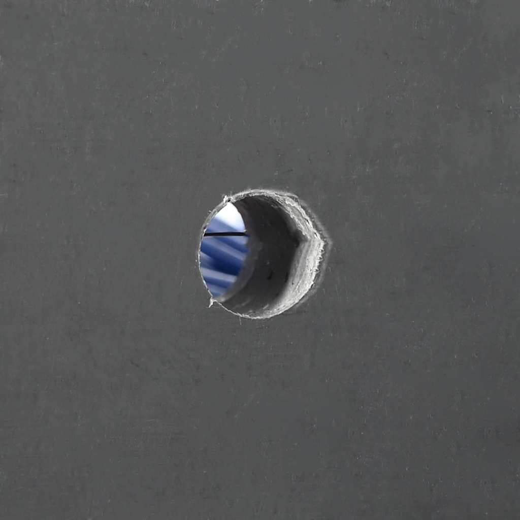 Escovas para Gado Vermelho e Azul 50 x 10 x 6,5 cm