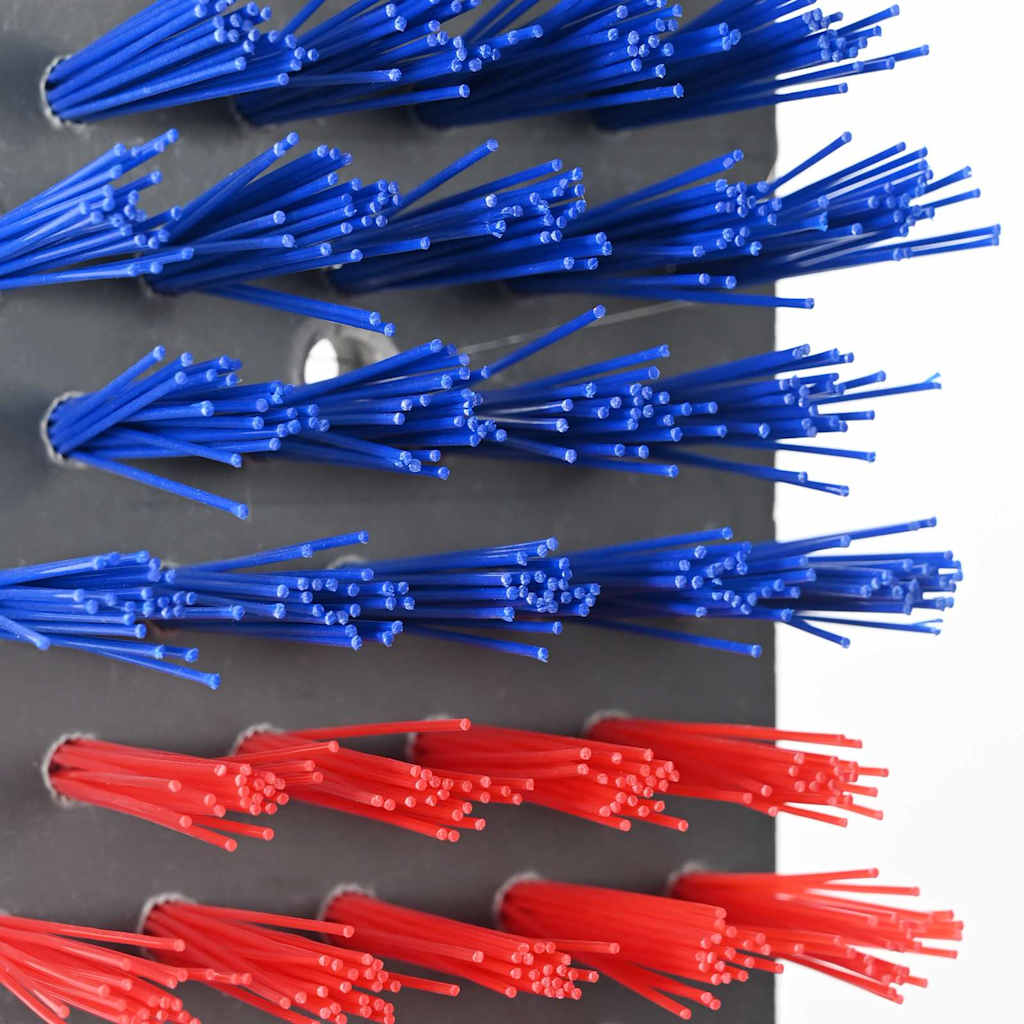 Escovas para Gado Vermelho e Azul 50 x 10 x 6,5 cm