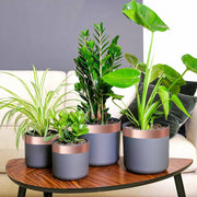 Fita de cobre dupla face 6 pcs Cobre 2000 x 5 cm Cobre