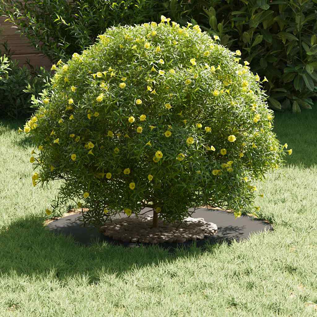 adequado para Anéis de Árvore Planos Preto Ø30 / 60 cm Aço