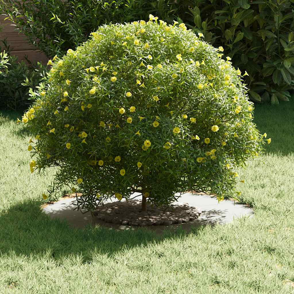 adequado para Anéis de Árvore Planos Branco Ø30 / 60 cm Aço