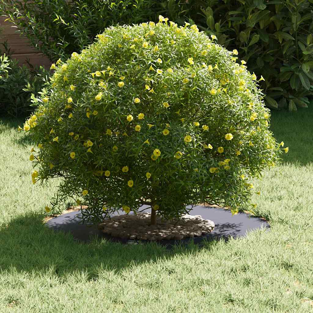 adequado para Anéis de Árvore Planos Antracite Ø30 / 60 cm Aço