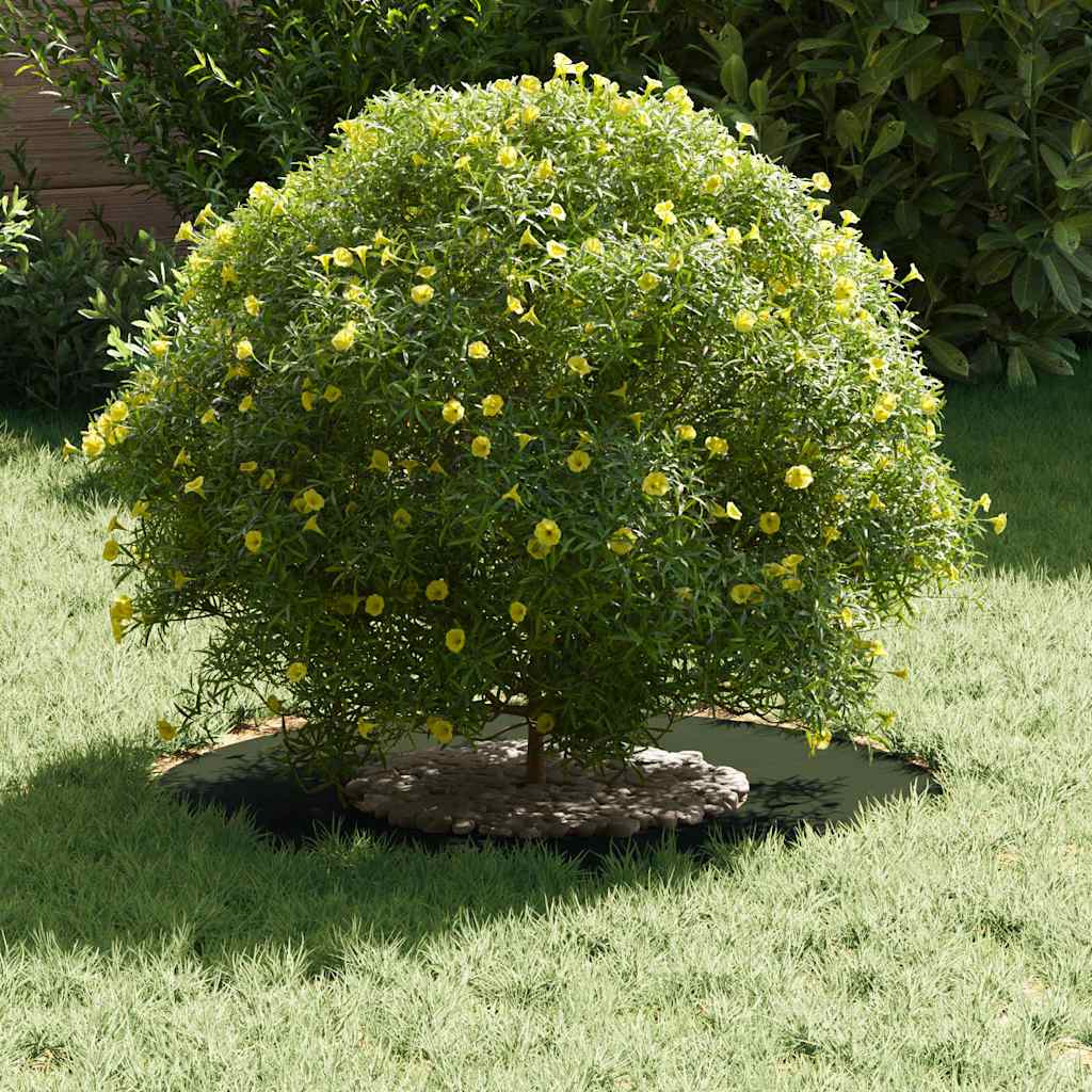 adequado para Anéis de Árvore Planos Verde-oliva Ø30 / 60 cm Aço