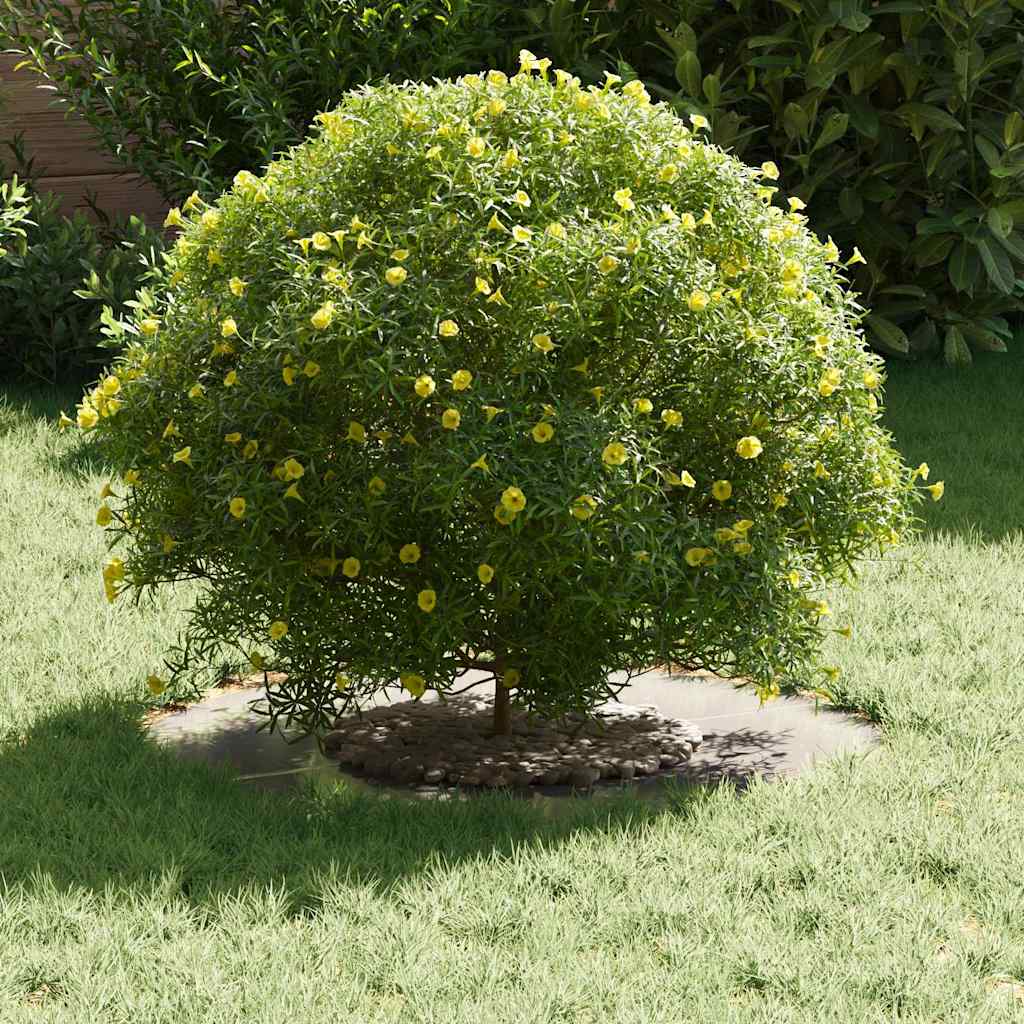 adequado para Anéis de Árvore Planos Prateado Ø30 / 60 cm