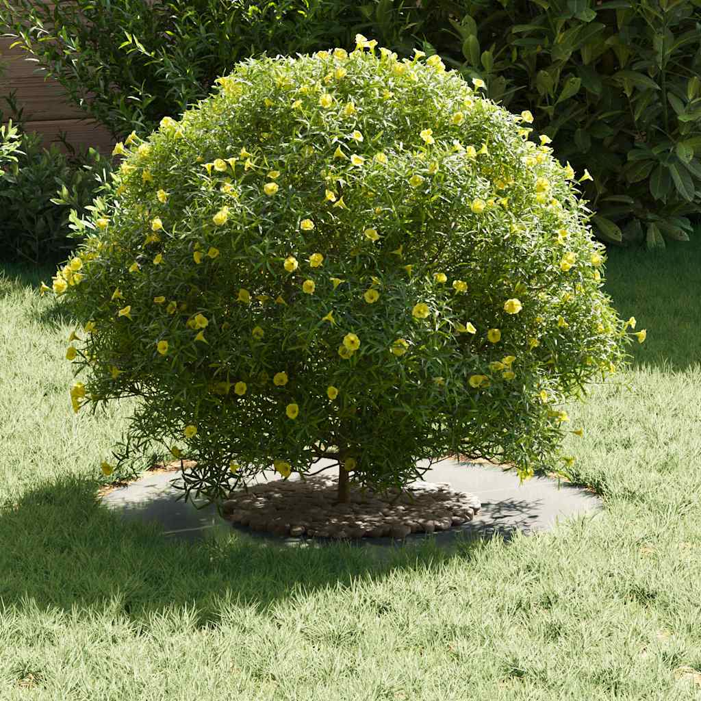 adequado para Anéis de Árvore Planos Prateado Ø30 / 60 cm