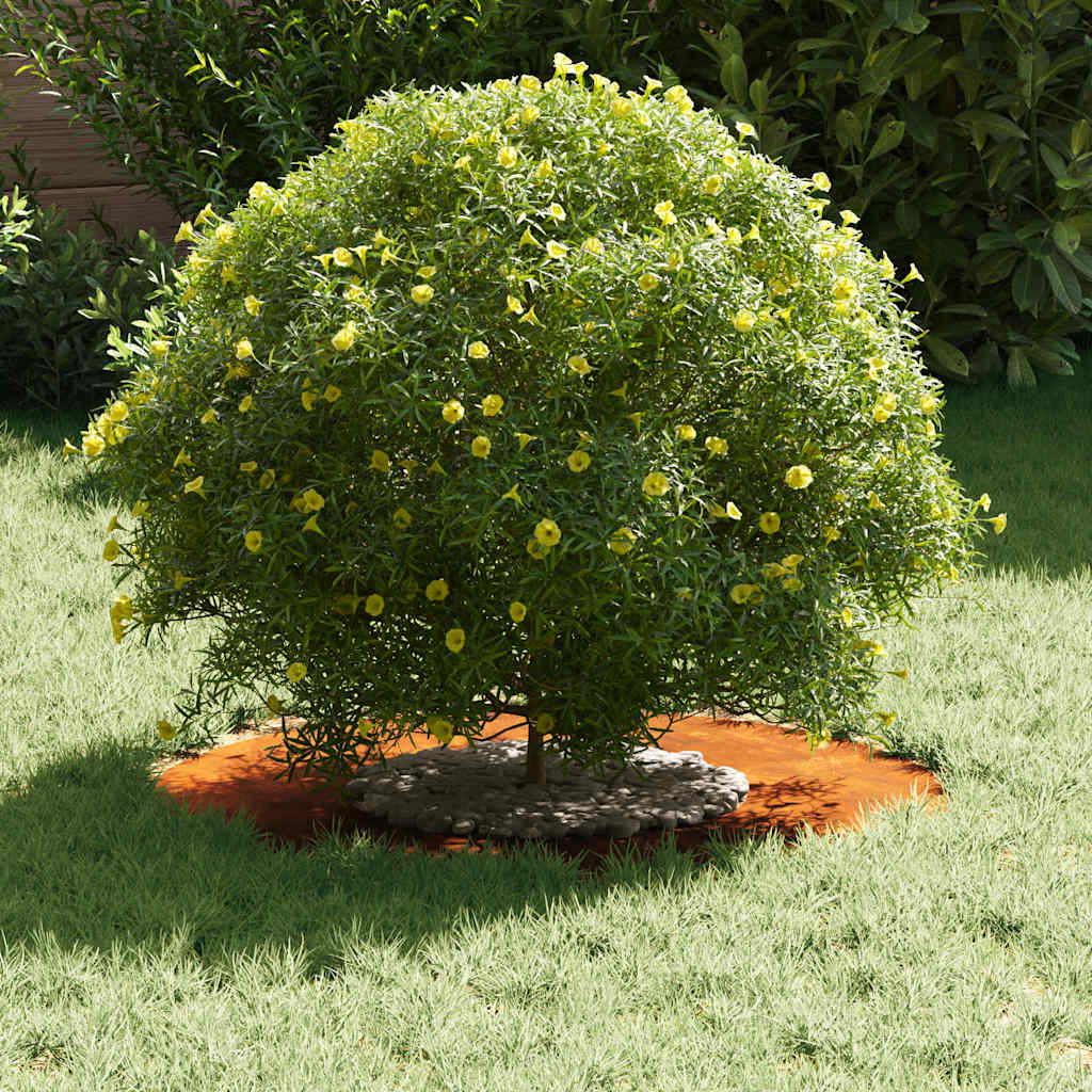 adequado para Anéis de Árvore Planos Castanho Ø30 / 60 cm