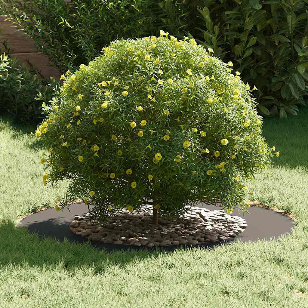 adequado para Anéis de Árvore Planos Preto Ø50 / 80 cm Aço