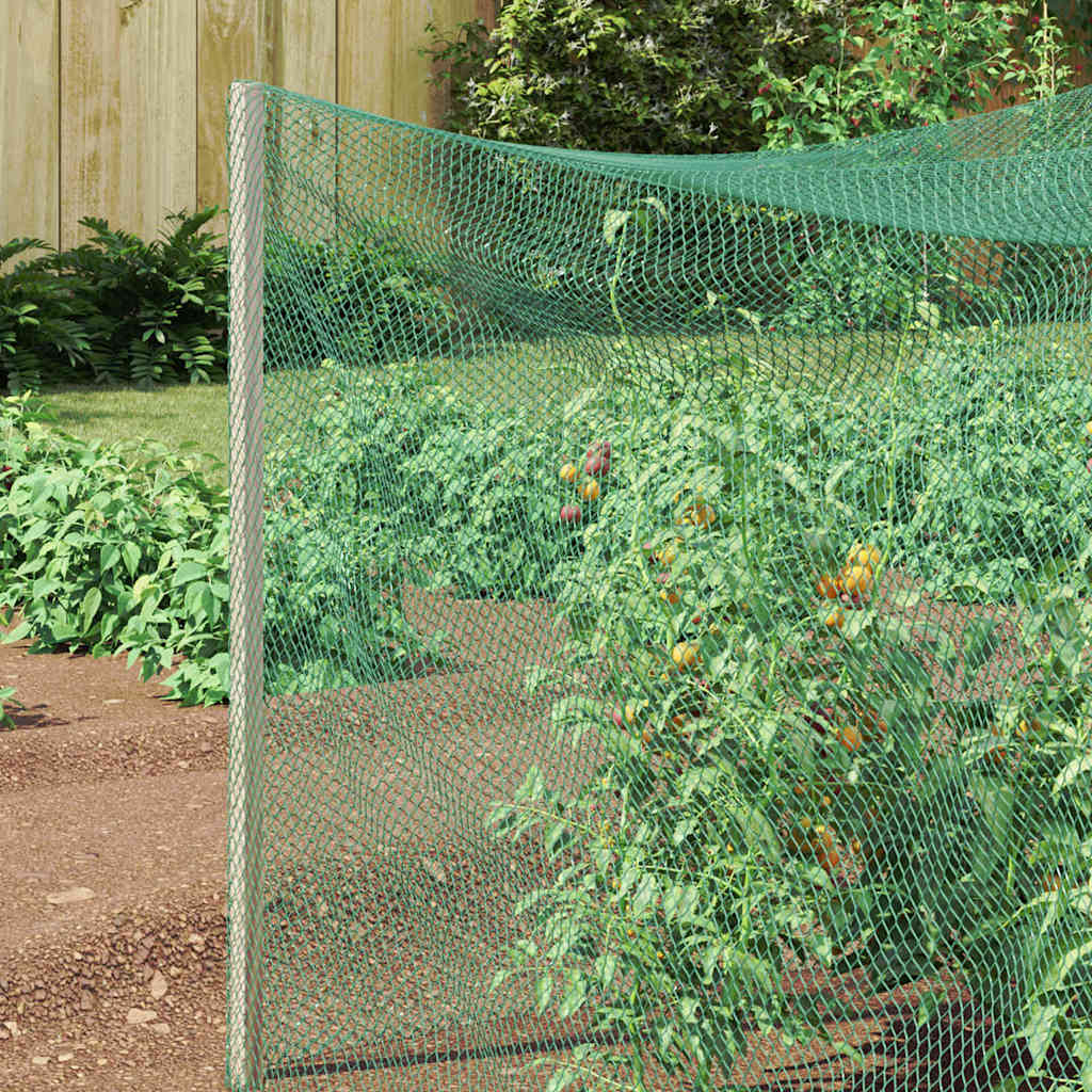 Rede de Proteção para Pássaros Verde 2 x 10 m HDPE