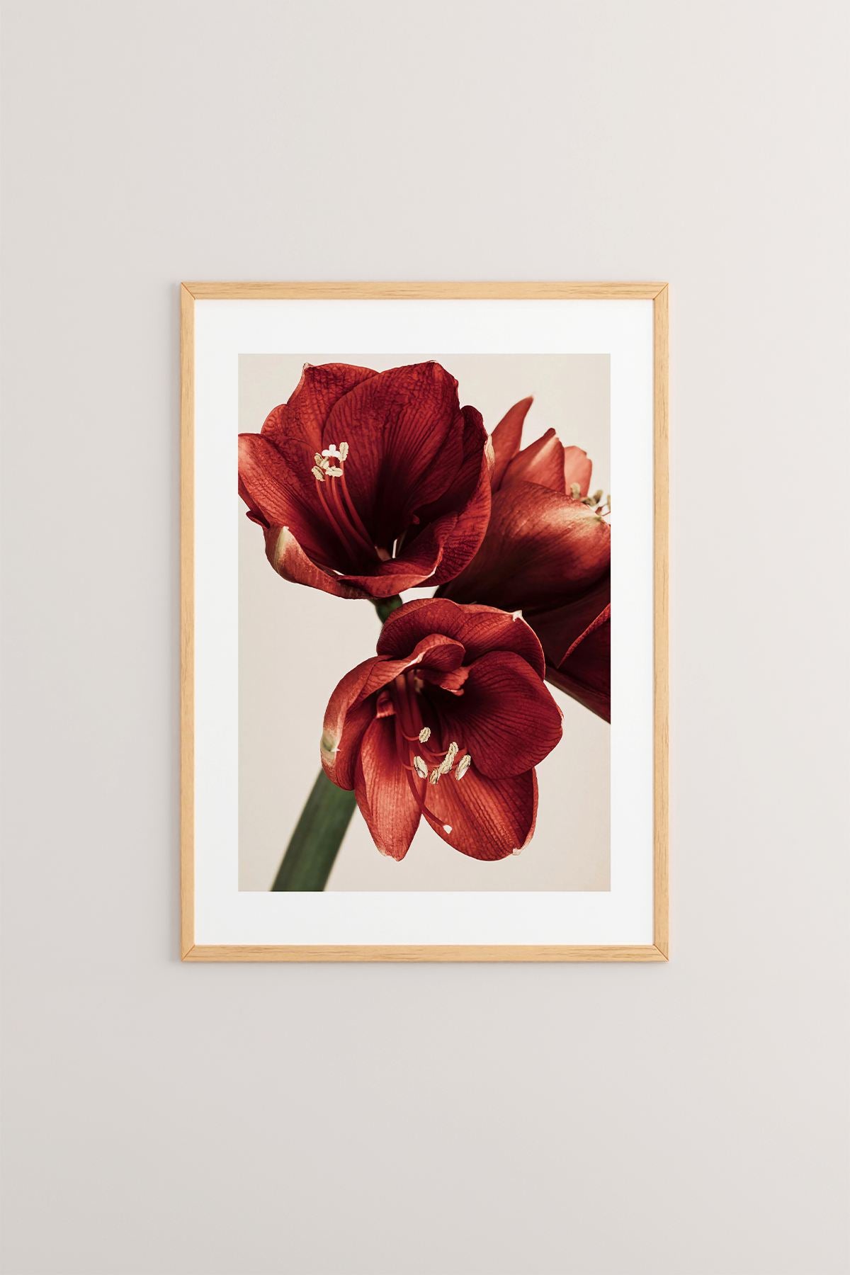 Quadro Decorativo Emoldurado Multicolor - Madeira Maciça 33x48cm - Arte Digital Premium