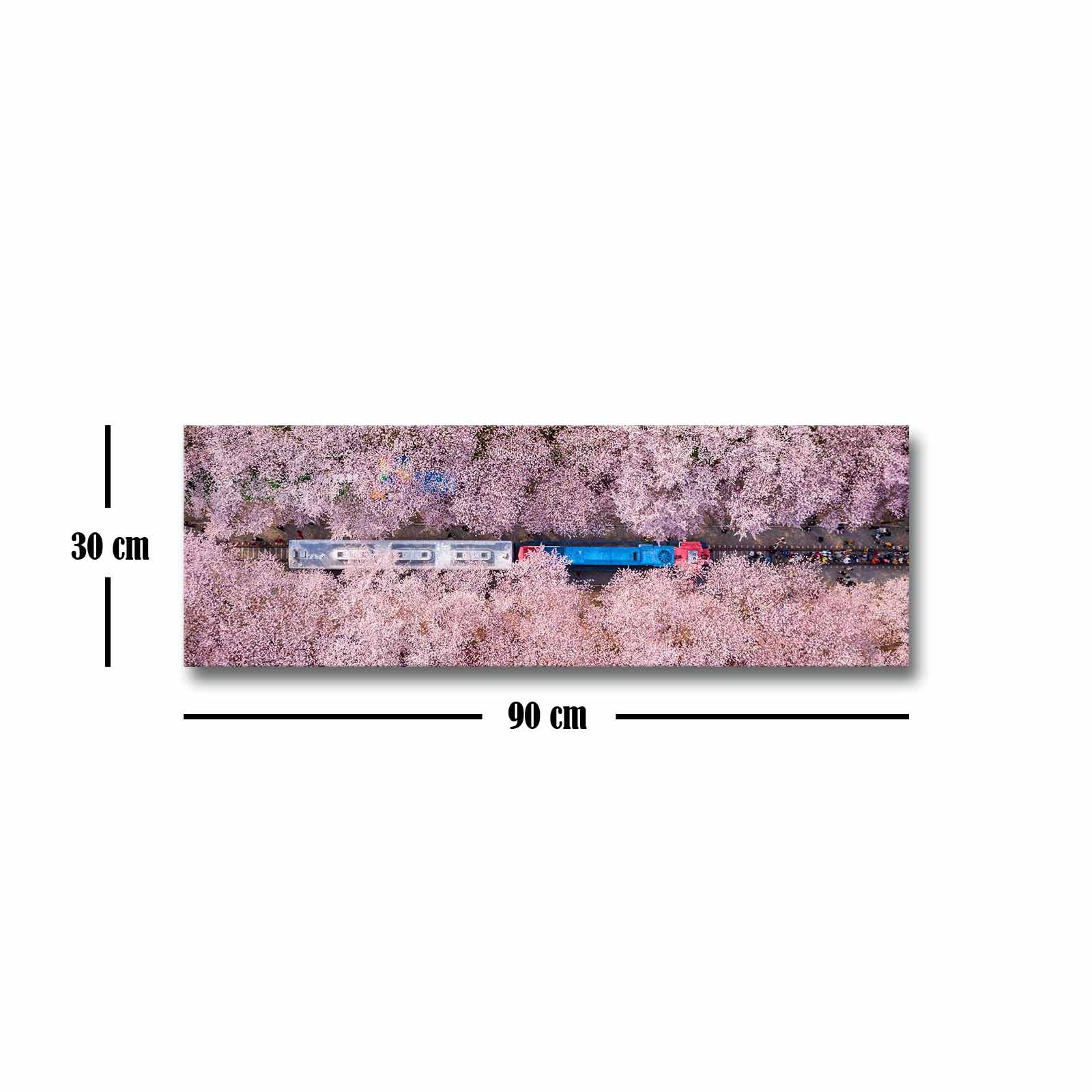 Quadro Decorativo em Tela Multicolor 30x90cm com Moldura de Pinho - Arte Moderna para Decoração de Interiores