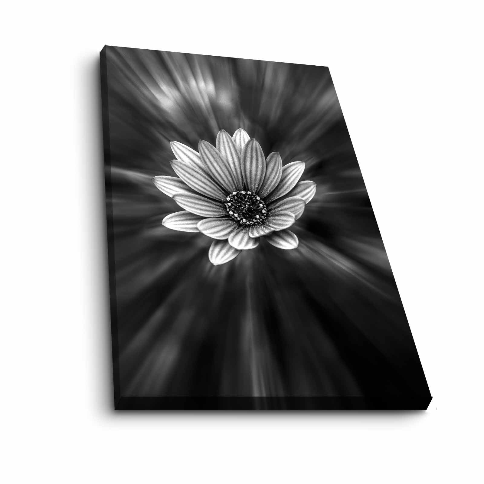 Quadro Decorativo em Tela 45x70cm - Pintura Multicolor com Moldura de Pinho Natural