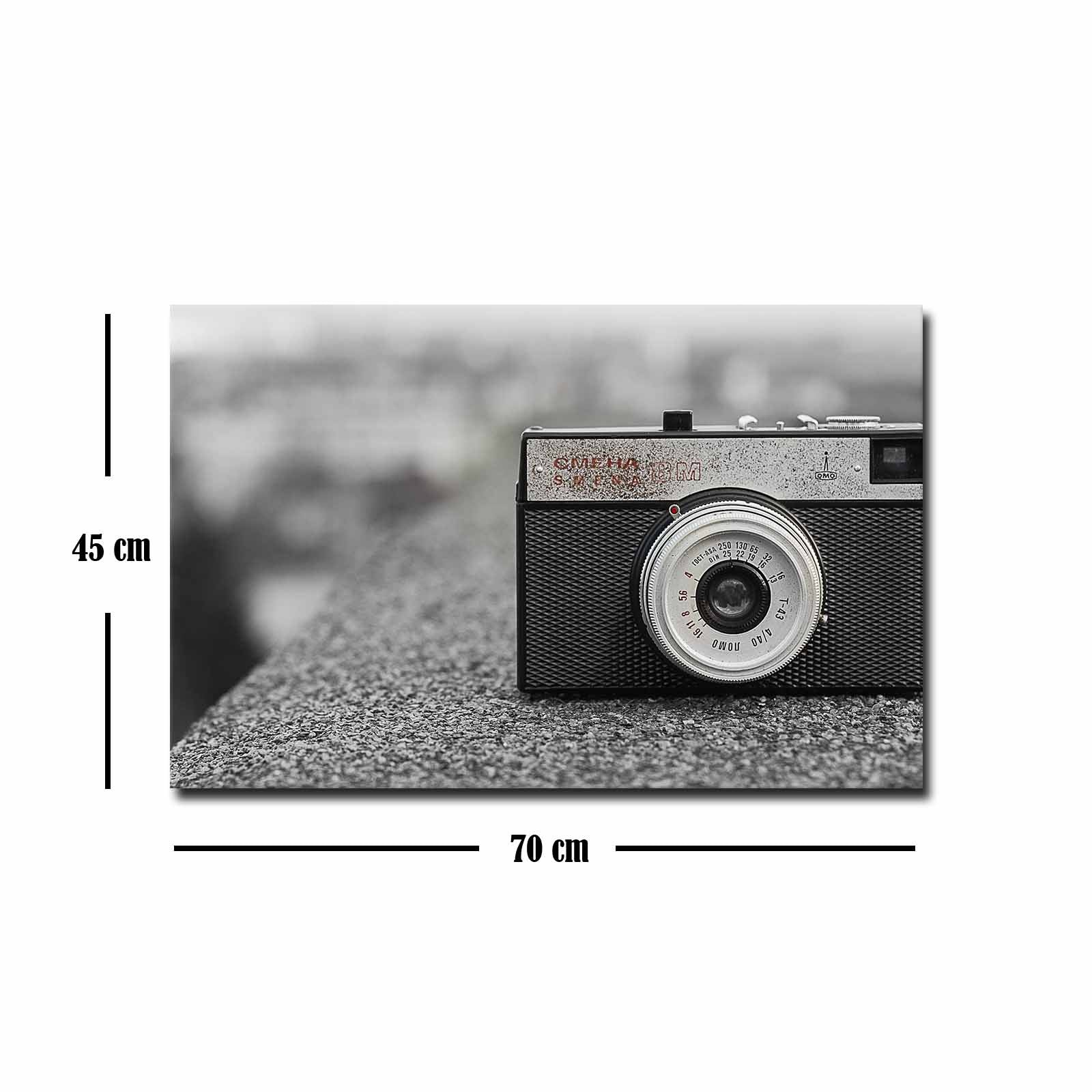 Quadro Decorativo em Tela 45x70cm - Pintura Multicolor com Moldura de Pinho Natural