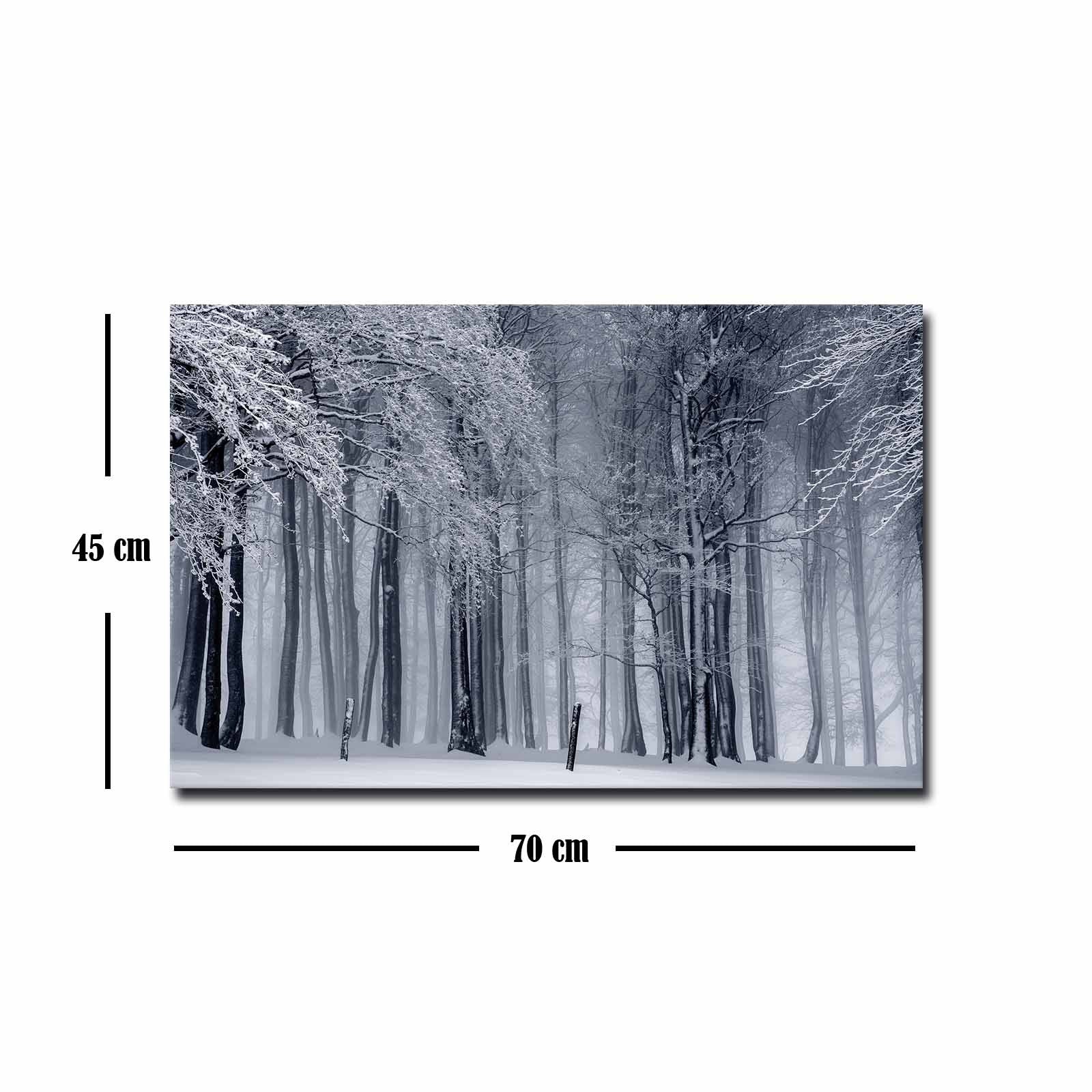 Quadro Decorativo em Tela 45x70cm - Pintura Multicolor com Moldura de Pinho Natural