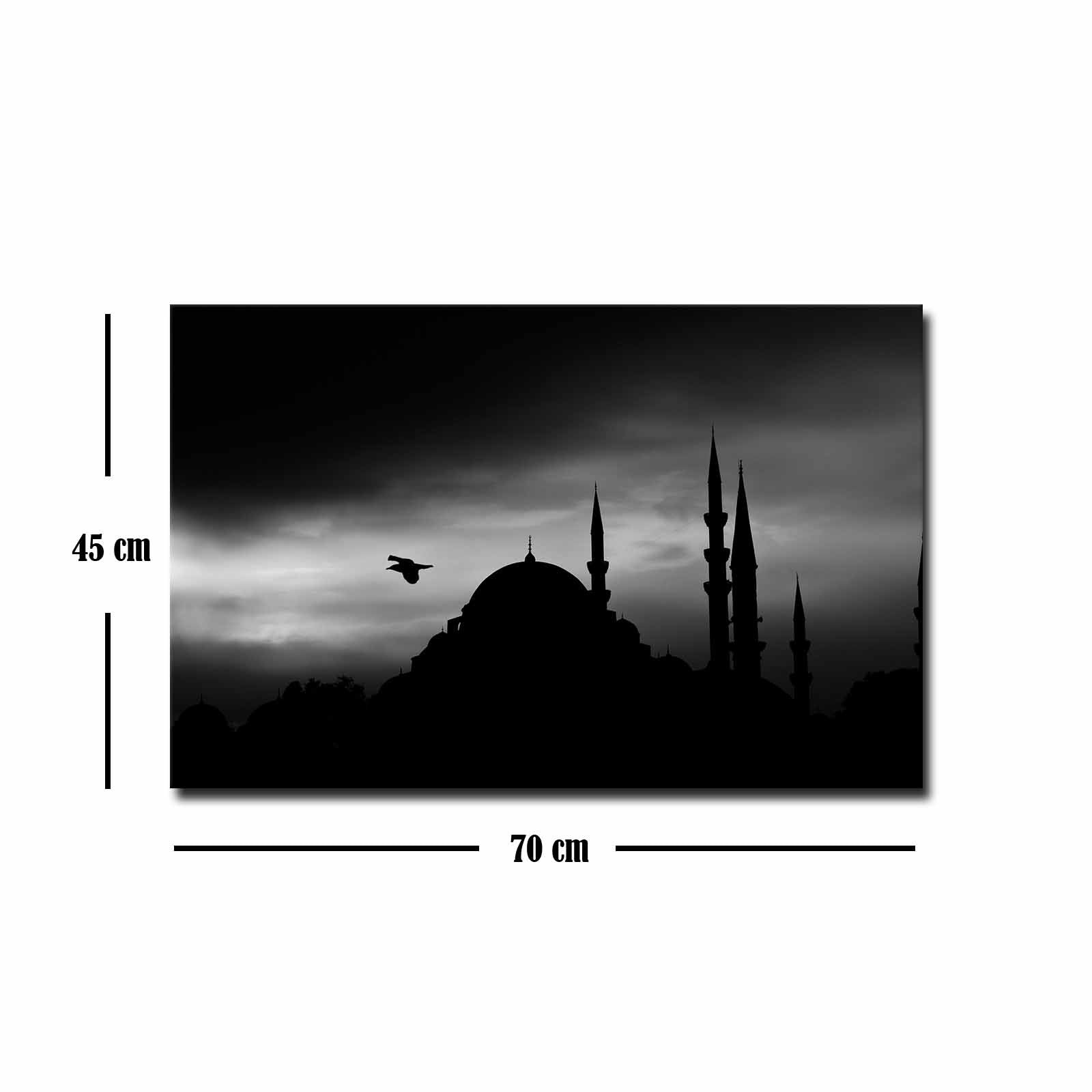 Quadro Decorativo em Tela 45x70cm - Pintura Multicolor com Moldura de Pinho Natural