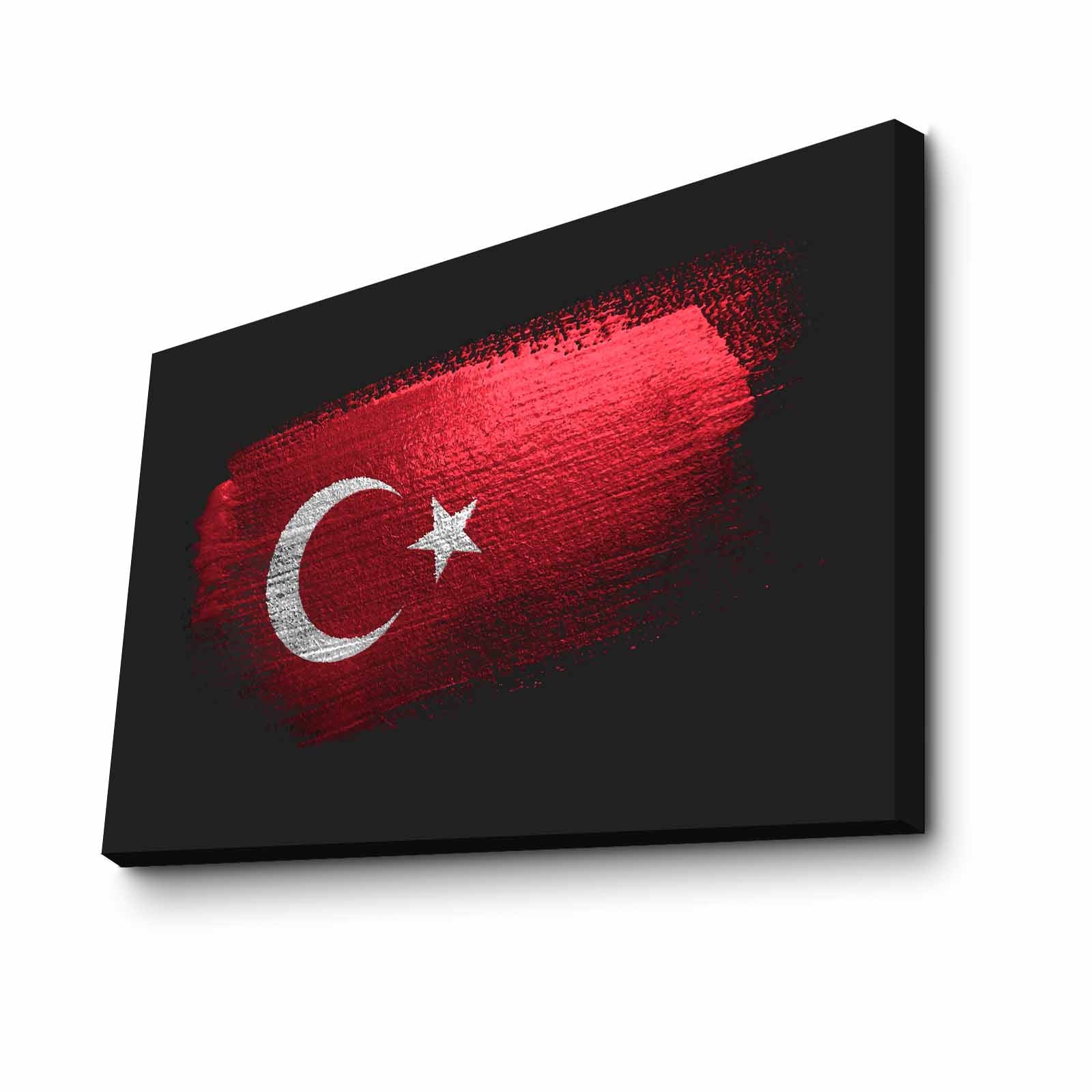 Quadro Decorativo em Tela 45x70cm - Pintura Multicolor com Moldura de Pinho Natural