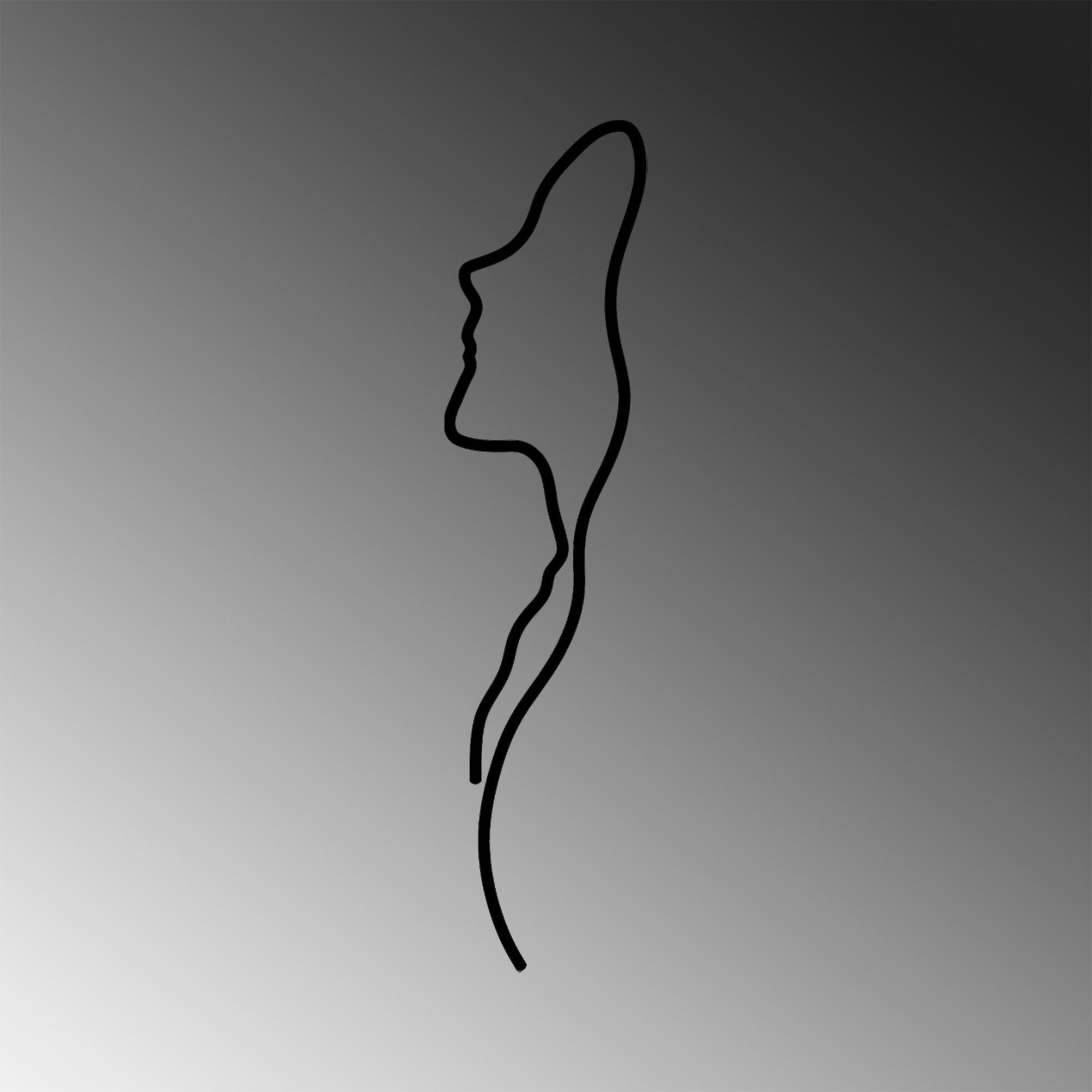 Acessório de parede decorativo de metal preto elegante, 18 x 0,15 x 74 cm | 100% metal, 1,5 mm de espessura | Fácil montagem na parede para decoração moderna de casa