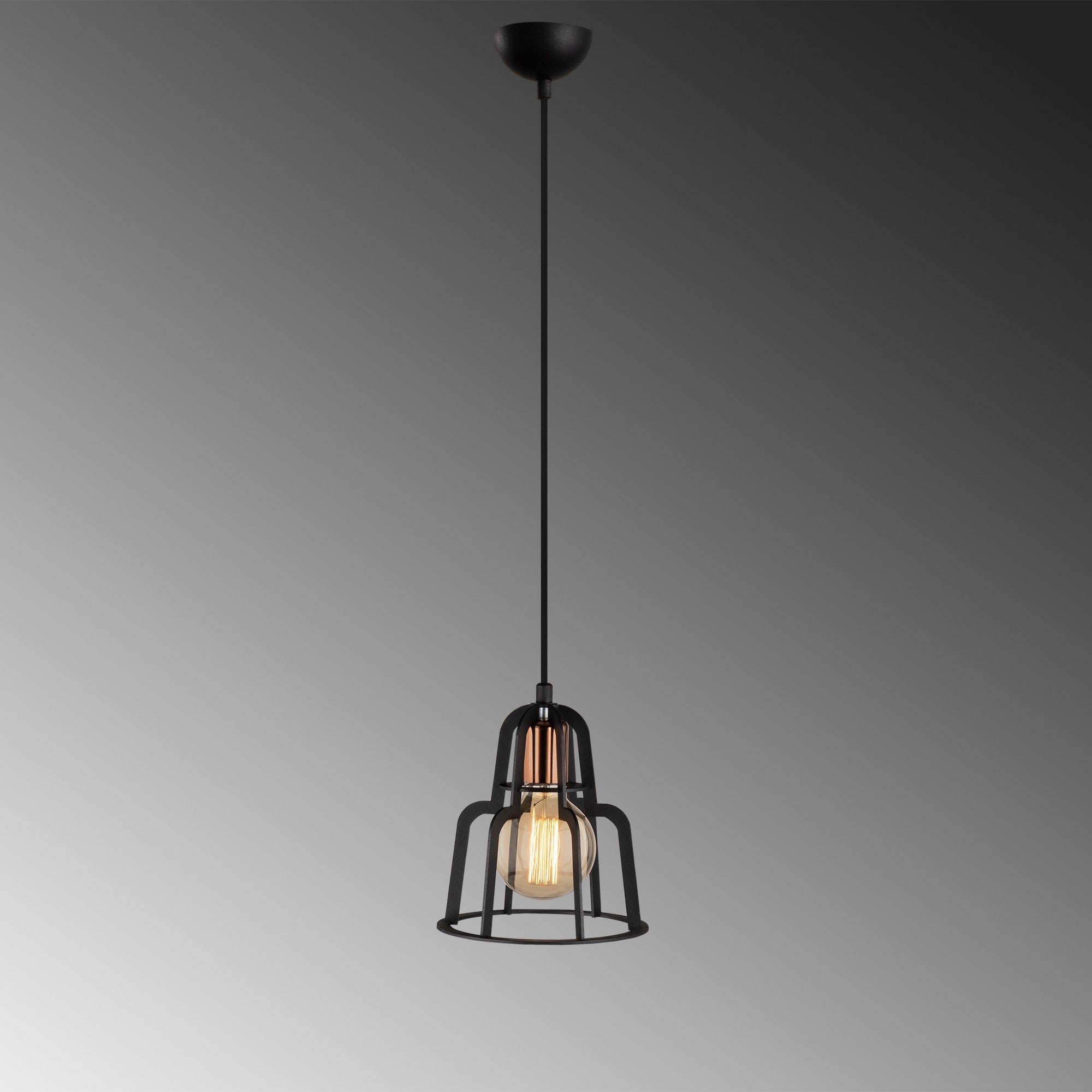 Candeeiro de Teto Industrial Preto, 20 cm de Diâmetro, 116 cm de Altura | Ajustável, Soquete E27, Máx. 40 W | Design Elegante em Ferro para Espaços Modernos, Classificação IP20