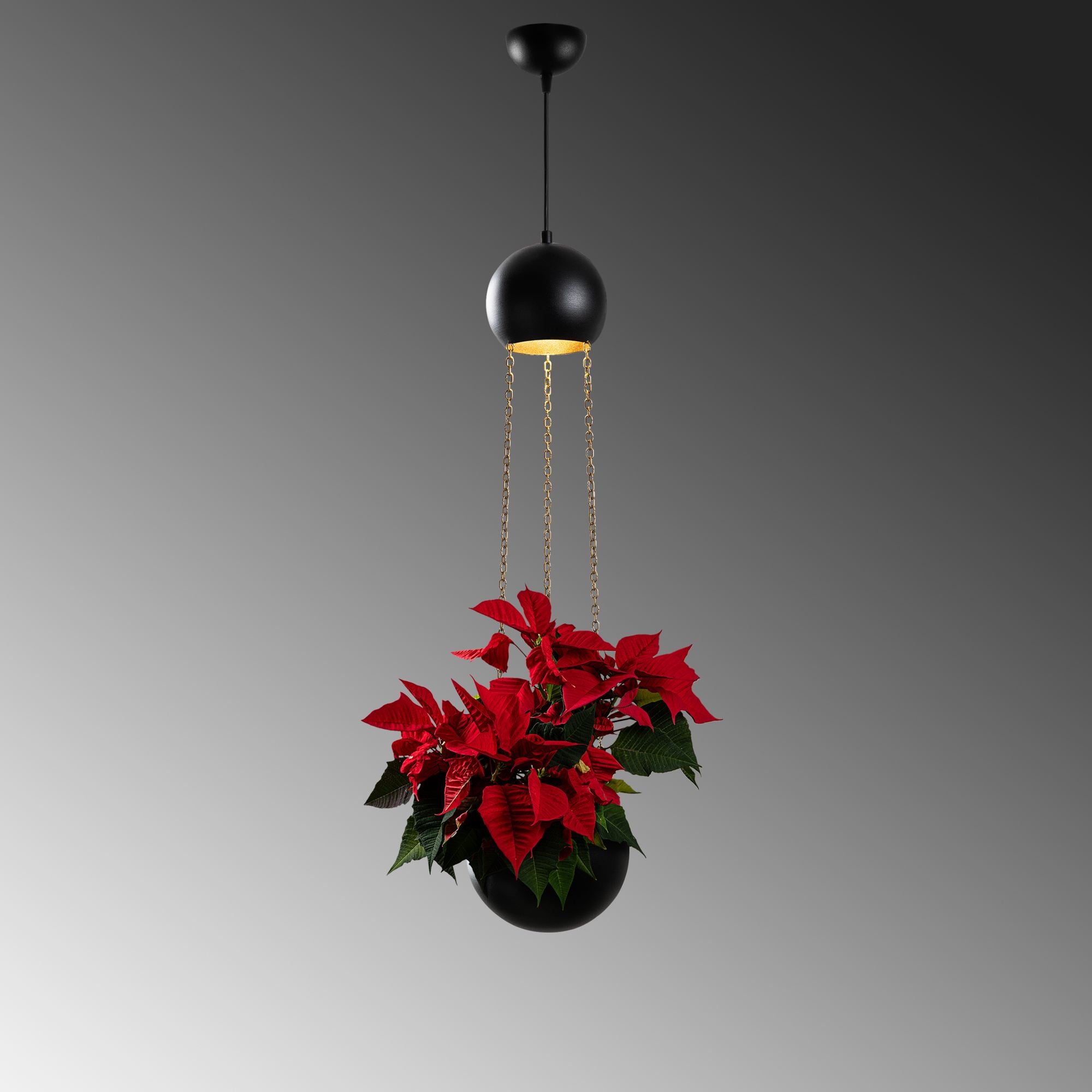 Candeeiro de Teto – 20 x 20 x 148 cm – Verde – Metal