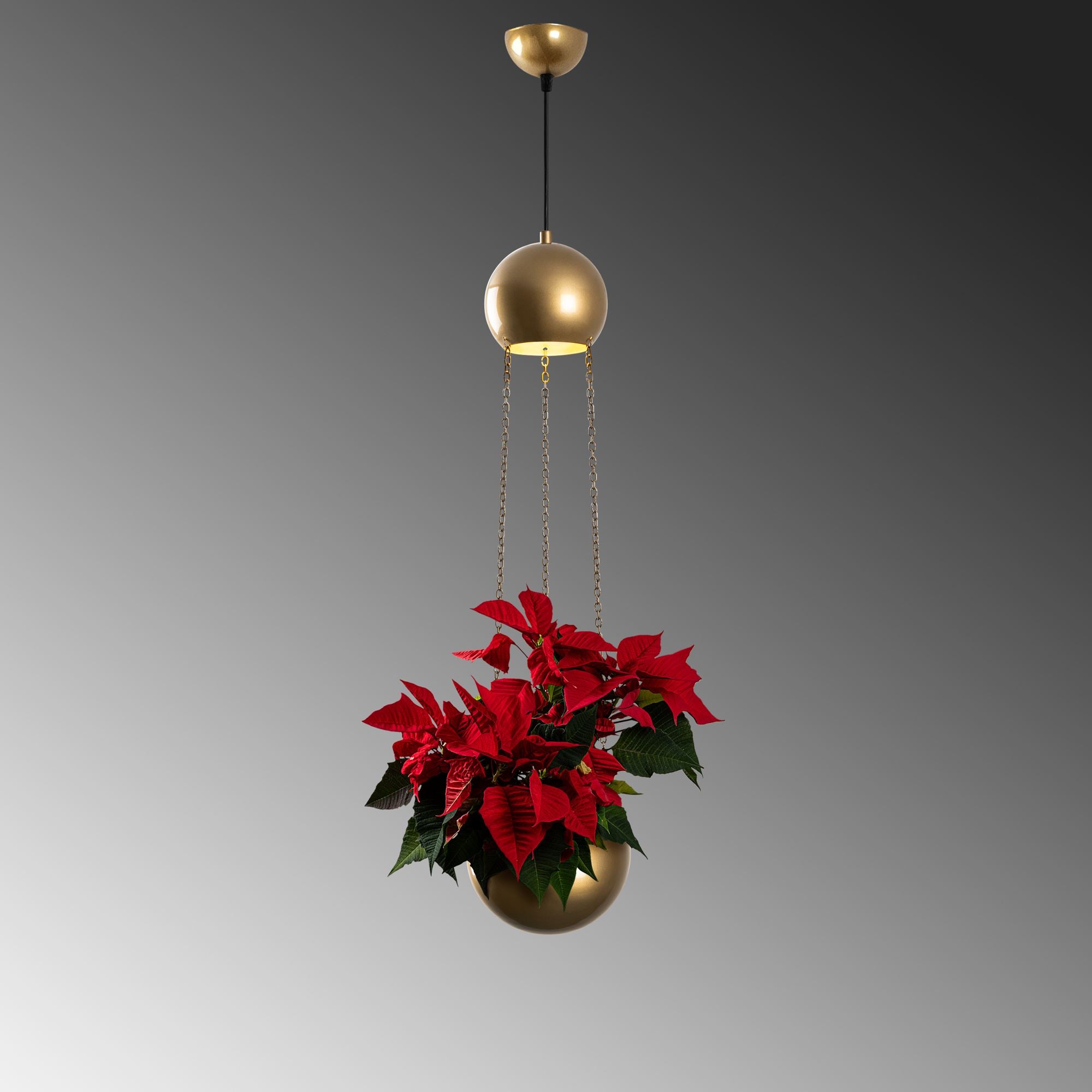 Candeeiro de Teto – 20 x 20 x 148 cm – Verde – Metal