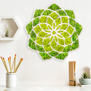 Acessório de parede decorativo elegante, verde e branco, 44 x 1,6 x 44 cm | 100% MDF/MOSS, 9 mm de espessura | Perfeito para decoração moderna e paredes de destaque