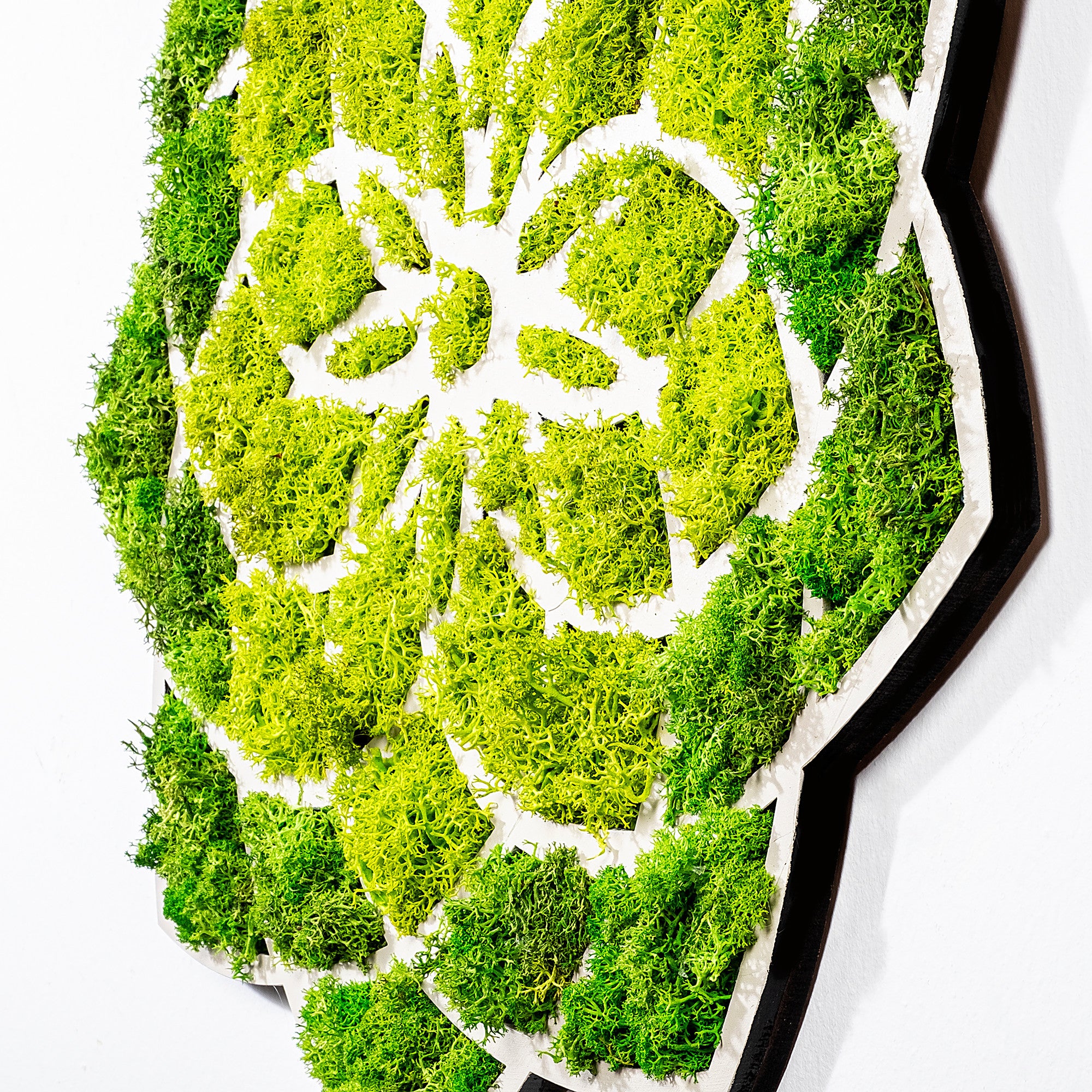 Acessório de parede decorativo elegante, verde e branco, 44 x 1,6 x 44 cm | 100% MDF/MOSS, 9 mm de espessura | Perfeito para decoração moderna e paredes de destaque