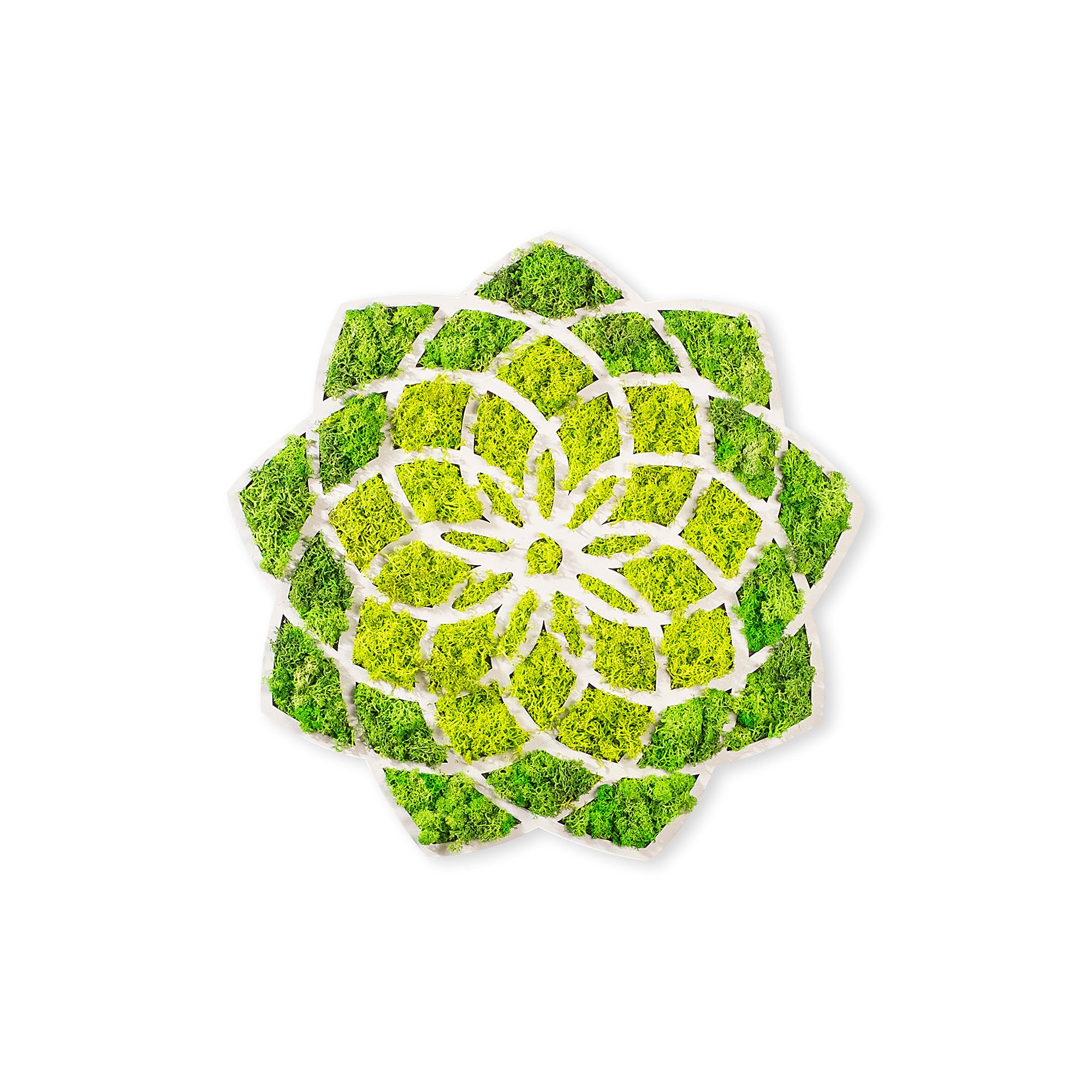 Acessório de parede decorativo elegante, verde e branco, 44 x 1,6 x 44 cm | 100% MDF/MOSS, 9 mm de espessura | Perfeito para decoração moderna e paredes de destaque