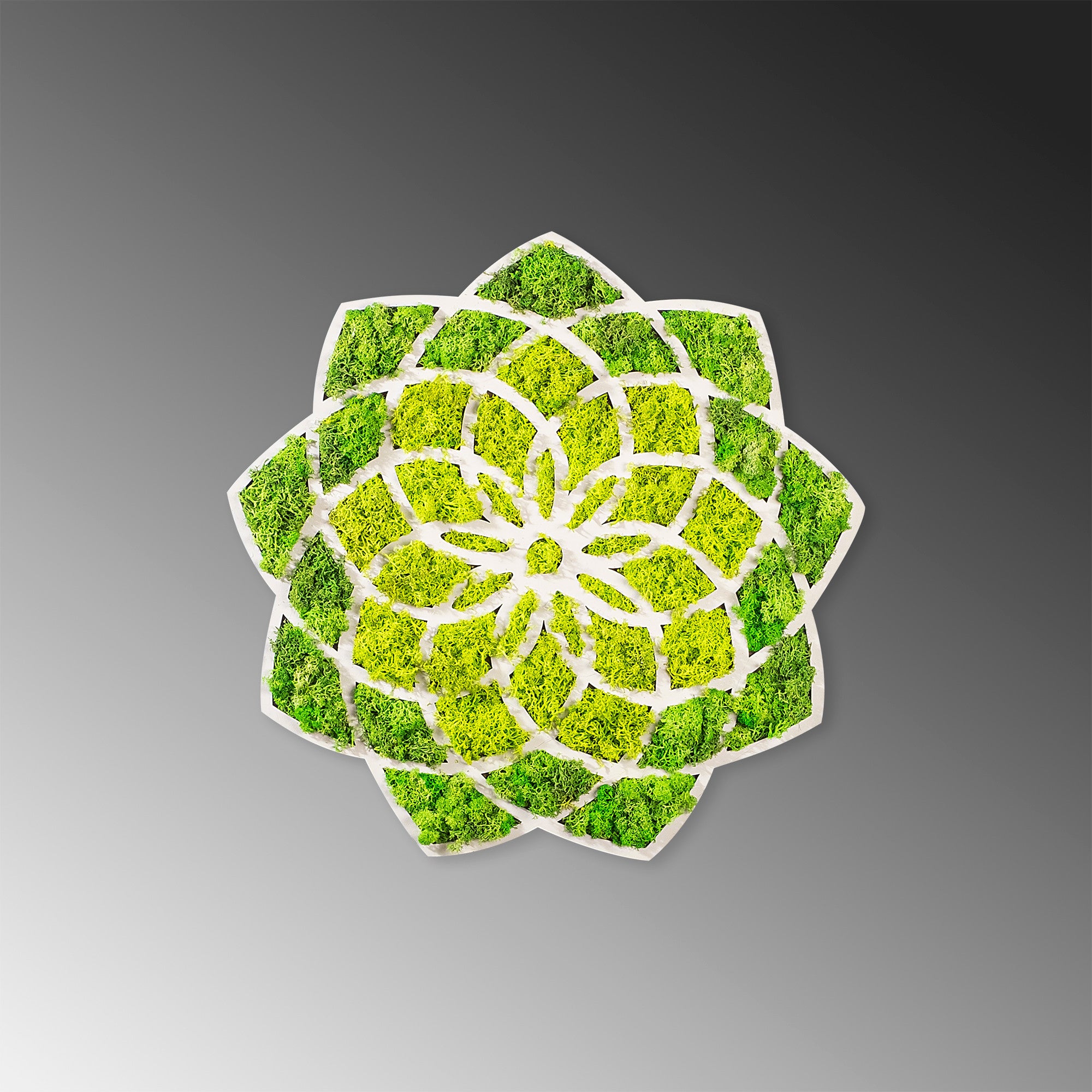 Acessório de parede decorativo elegante, verde e branco, 44 x 1,6 x 44 cm | 100% MDF/MOSS, 9 mm de espessura | Perfeito para decoração moderna e paredes de destaque
