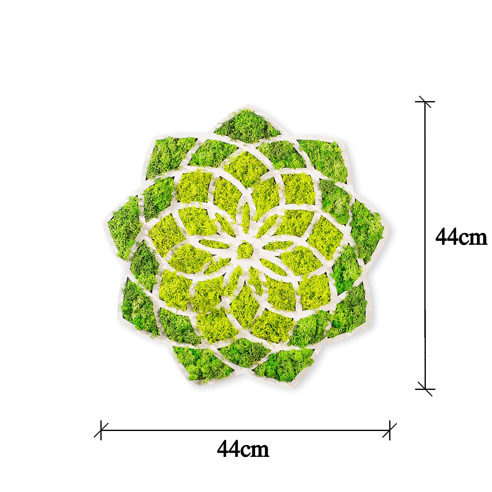 Acessório de parede decorativo elegante, verde e branco, 44 x 1,6 x 44 cm | 100% MDF/MOSS, 9 mm de espessura | Perfeito para decoração moderna e paredes de destaque