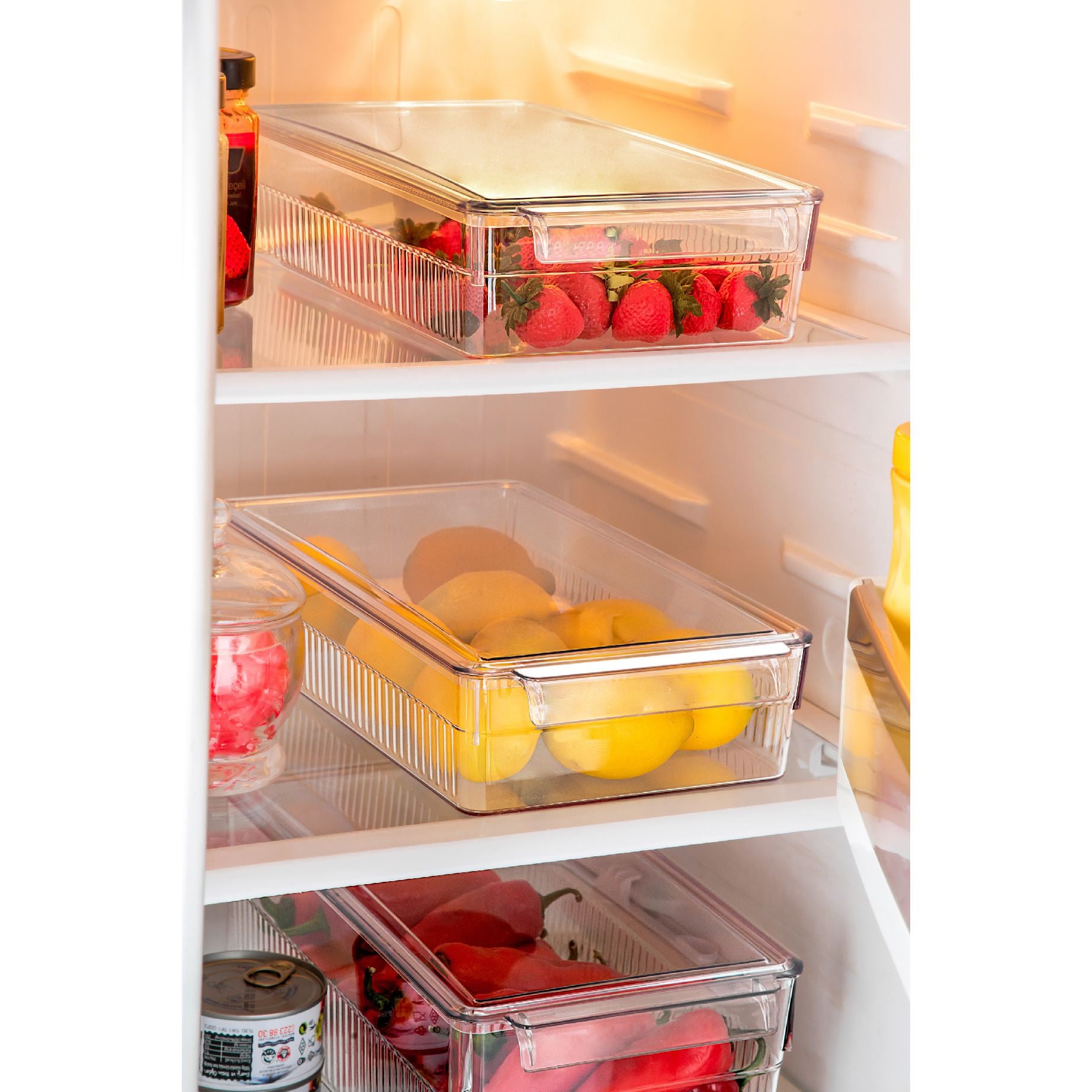 Conjunto organizador de geladeira (3 peças)-F-226-Transparente