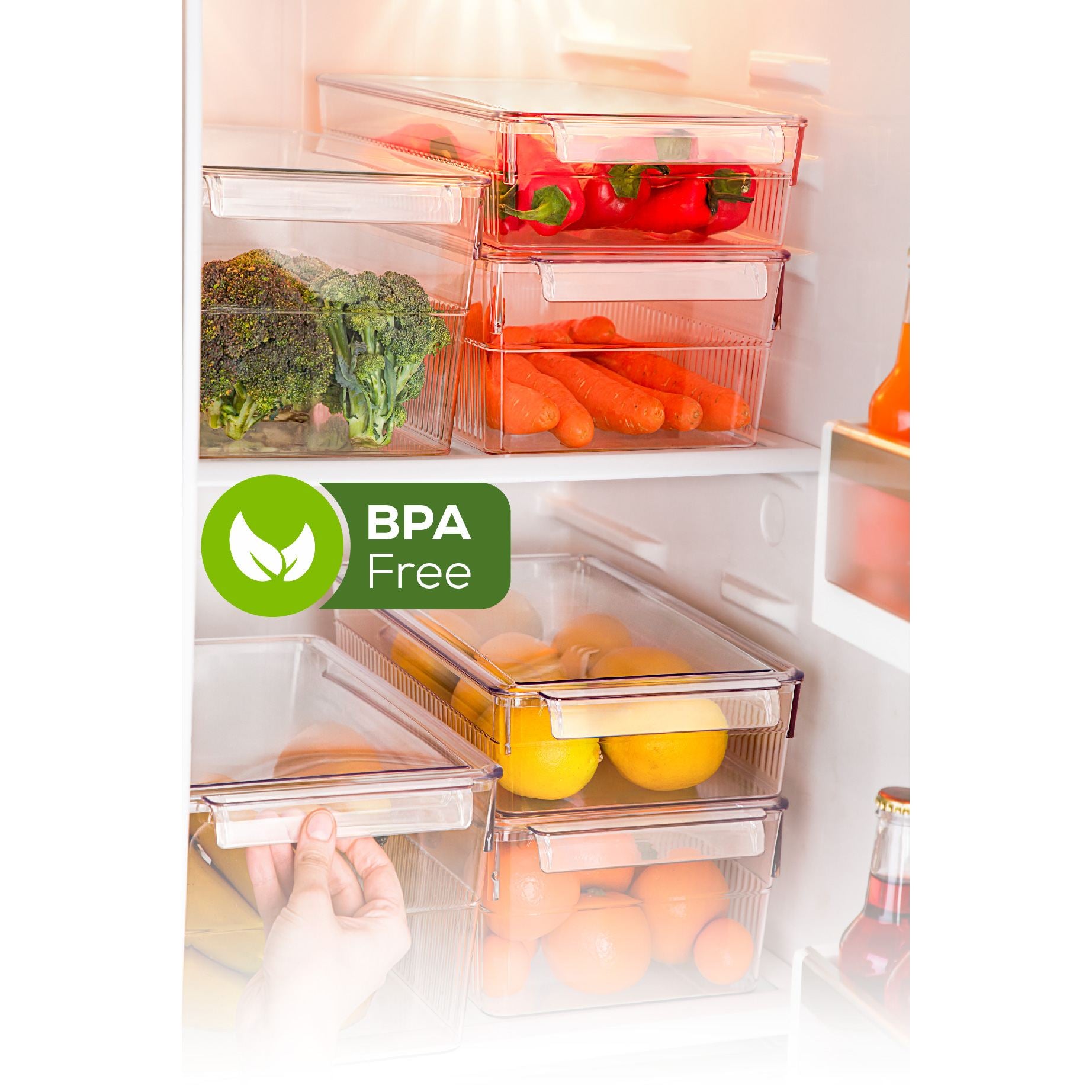 Conjunto organizador de geladeira (3 peças)-F-226-Transparente