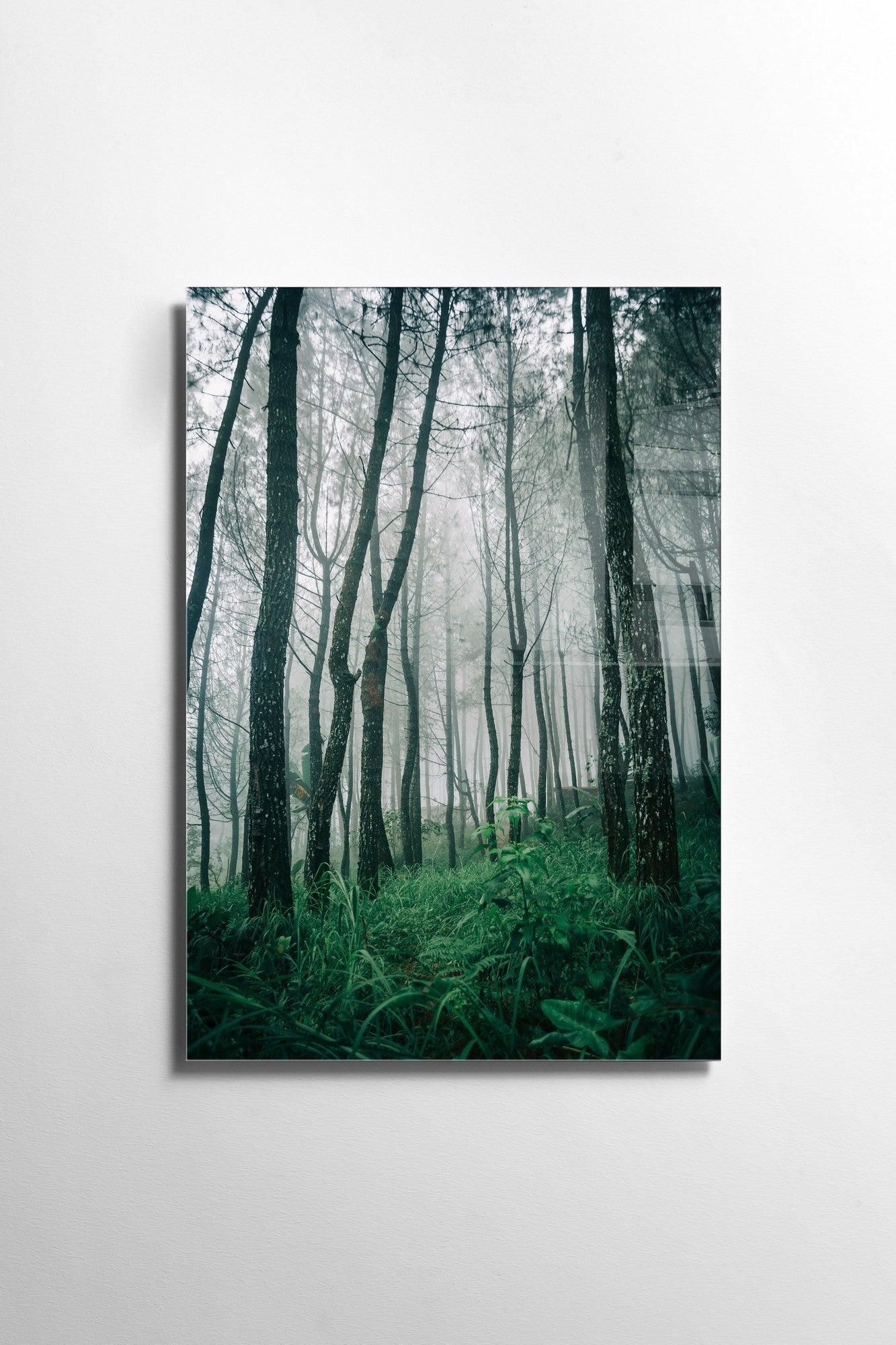 Quadro Decorativo em Vidro Temperado Multicolor 45x65cm - Arte Moderna para Transformar o Seu Espaço