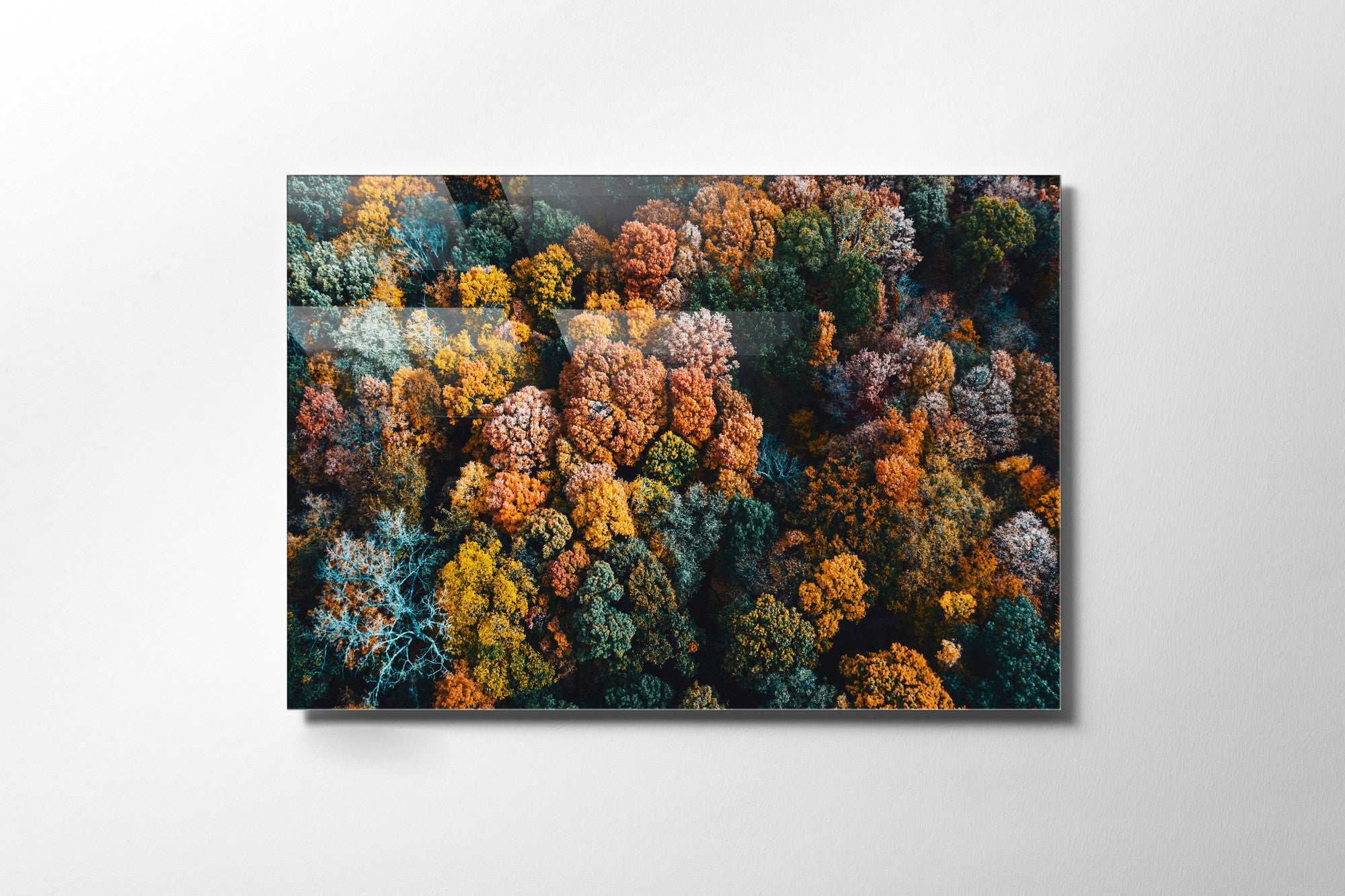 Quadro Decorativo em Vidro Temperado Multicolor 50x70cm - Arte Moderna para Transformar o Seu Espaço