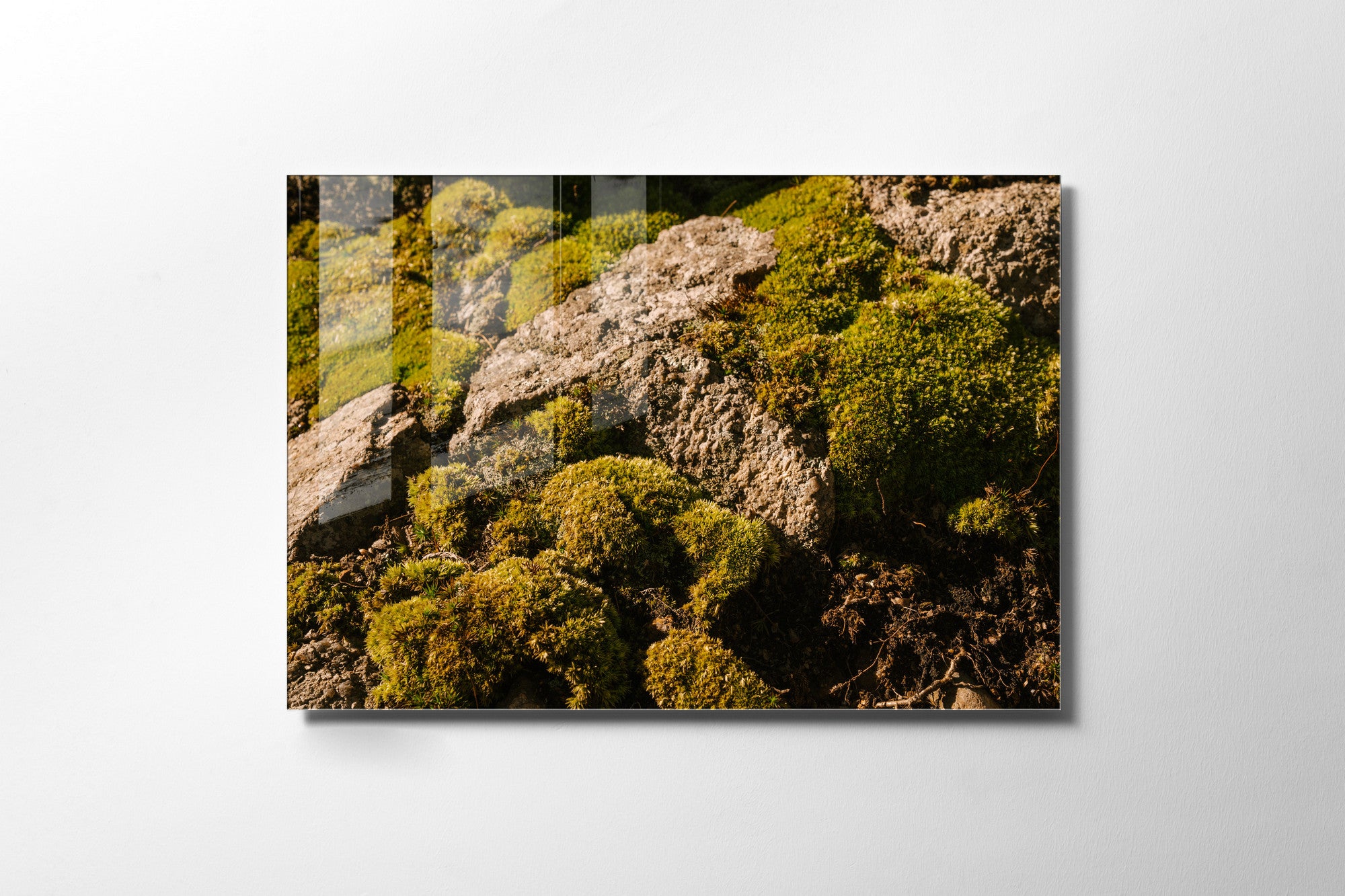 Quadro Decorativo em Vidro Temperado Multicolor 50x70cm - Arte Moderna para Transformar o Seu Espaço