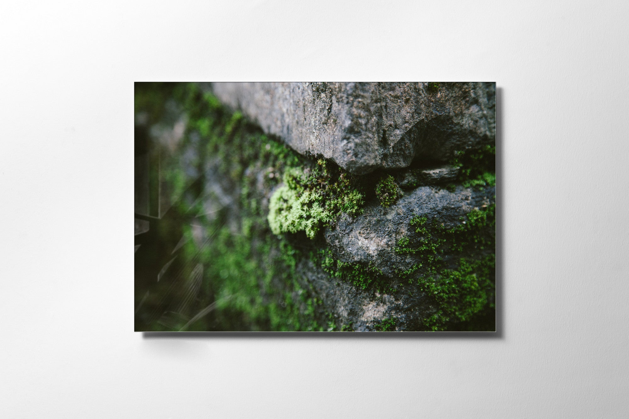 Quadro Decorativo em Vidro Temperado Multicolor 45x65cm - Arte Moderna para Transformar o Seu Espaço