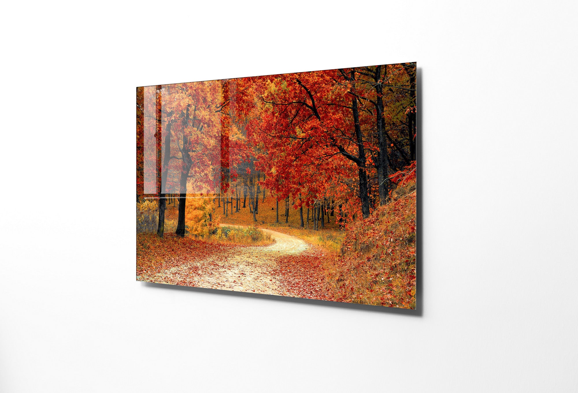 Quadro Decorativo em Vidro Temperado Multicolor 50x70cm - Arte Moderna para Transformar o Seu Espaço