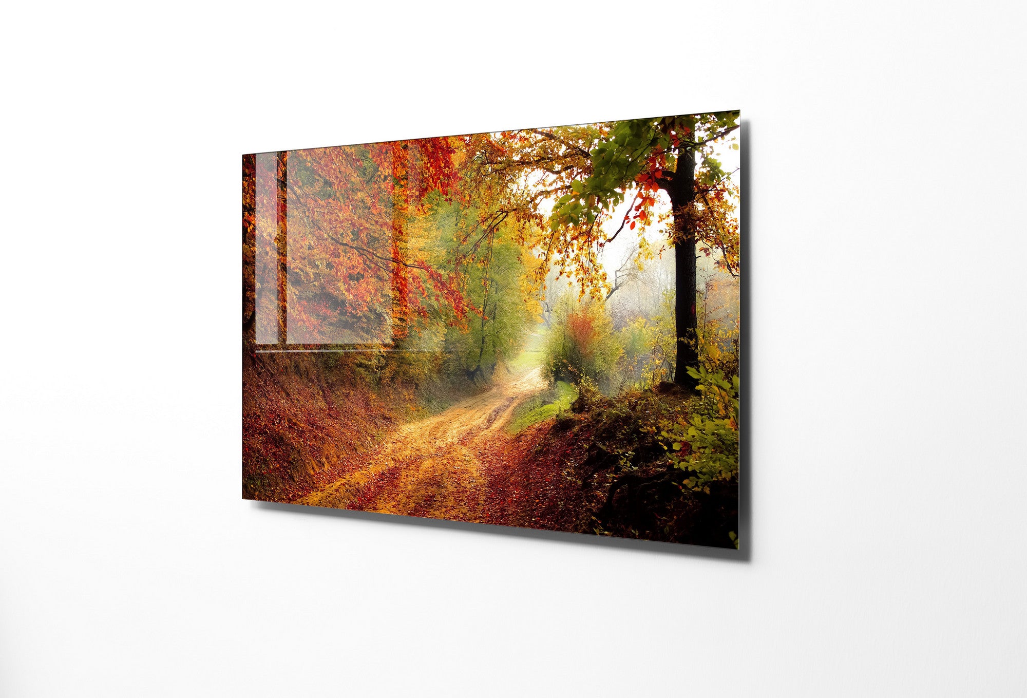 Quadro Decorativo em Vidro Temperado Multicolor 30x45cm - Arte Moderna para Decoração de Interiores