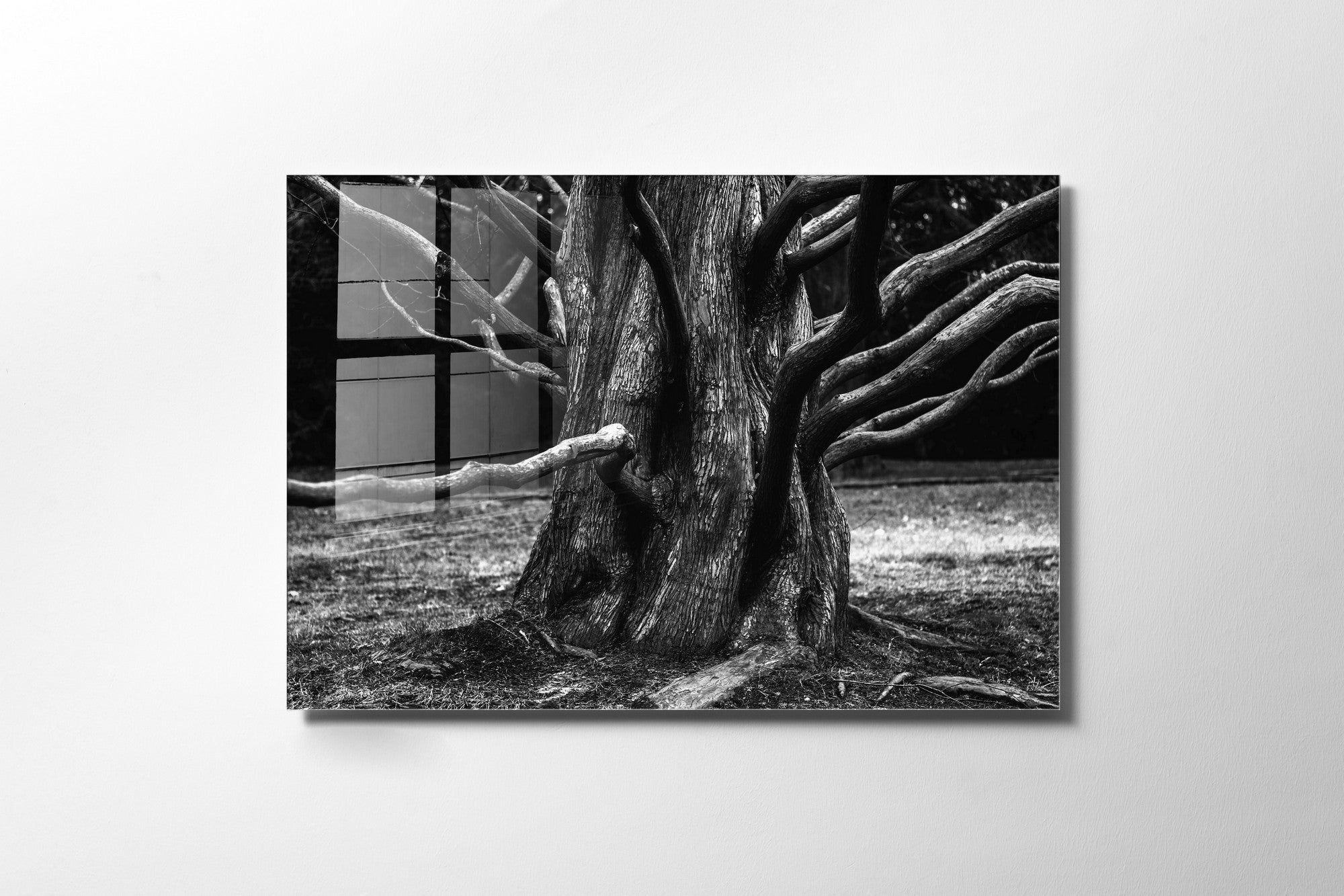 Quadro Decorativo em Vidro Temperado Multicolor 45x65cm - Arte Moderna para Transformar o Seu Espaço