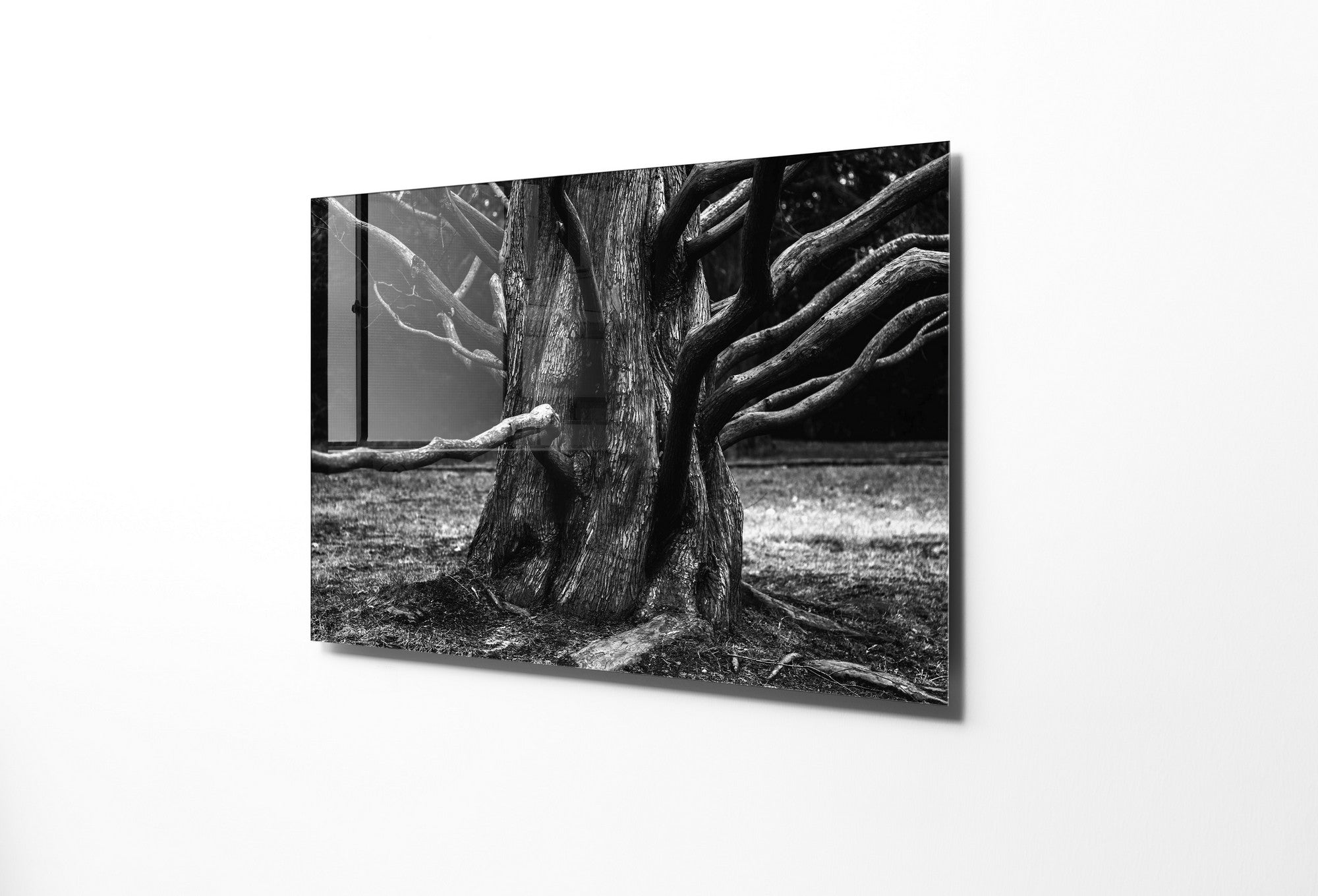 Quadro Decorativo em Vidro Temperado Multicolor 45x65cm - Arte Moderna para Transformar o Seu Espaço