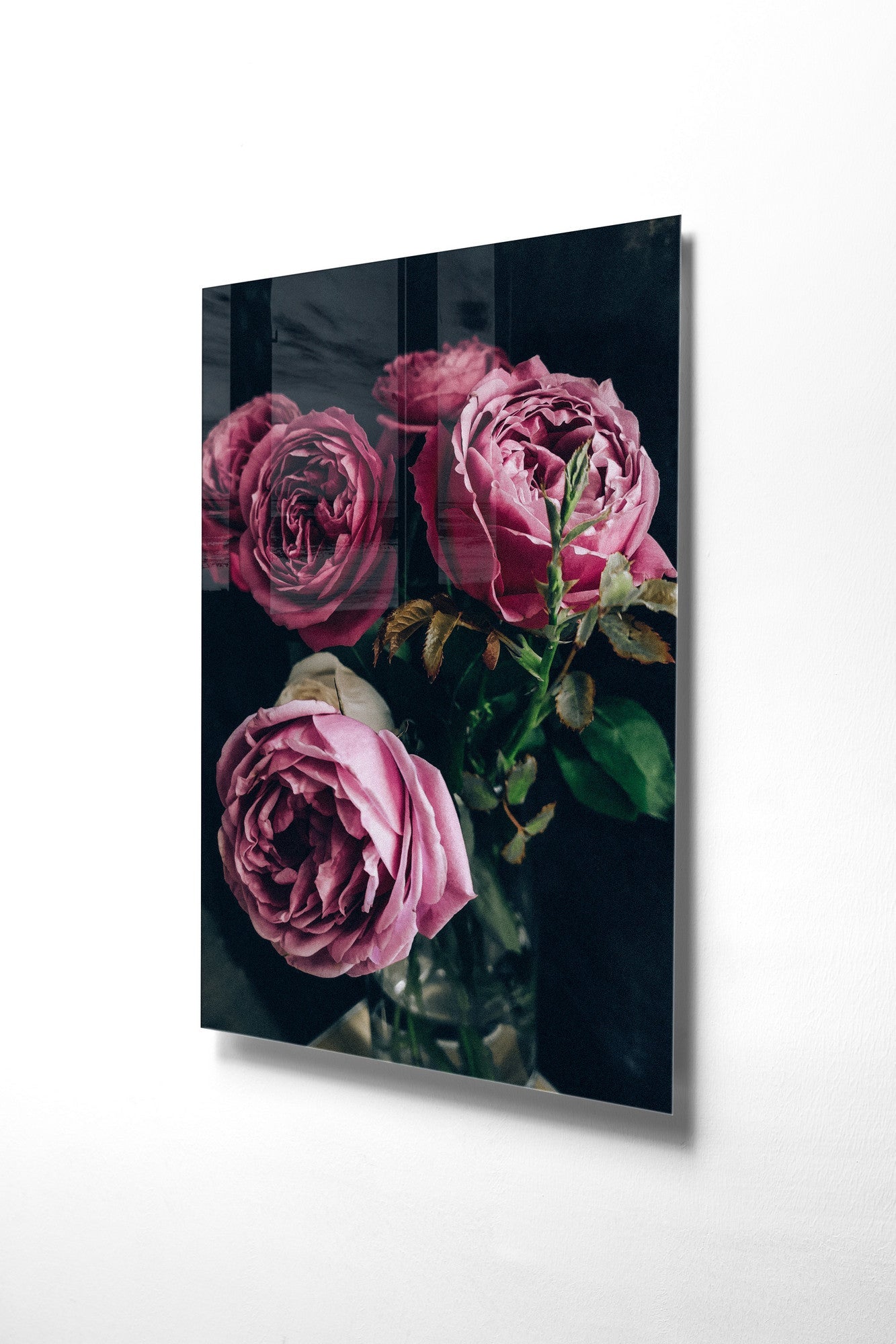 970GLS1508Tribo Home