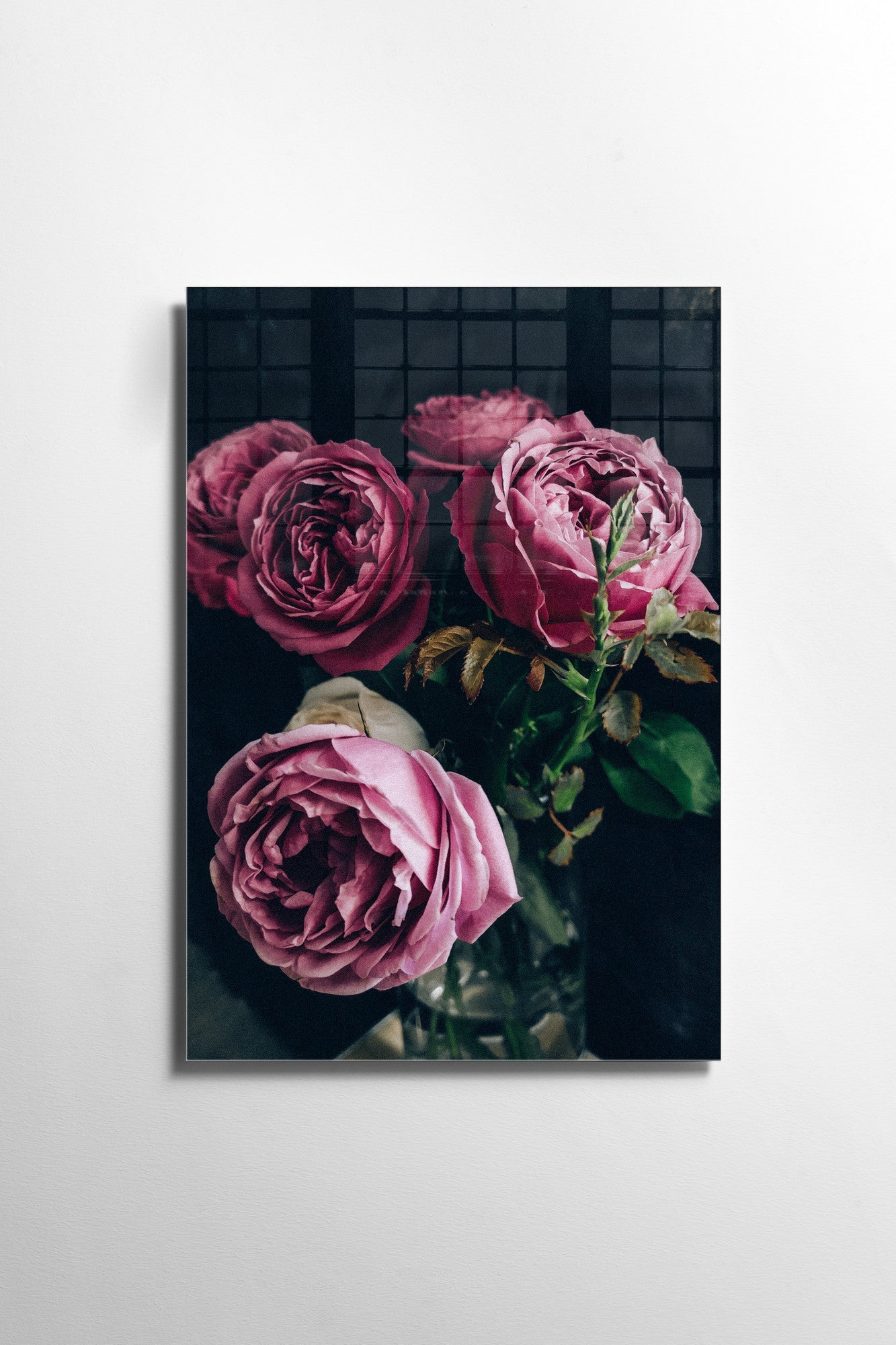 970GLS1508Tribo Home