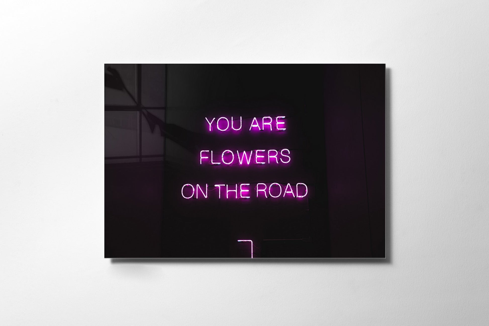 970GLS1513Tribo Home