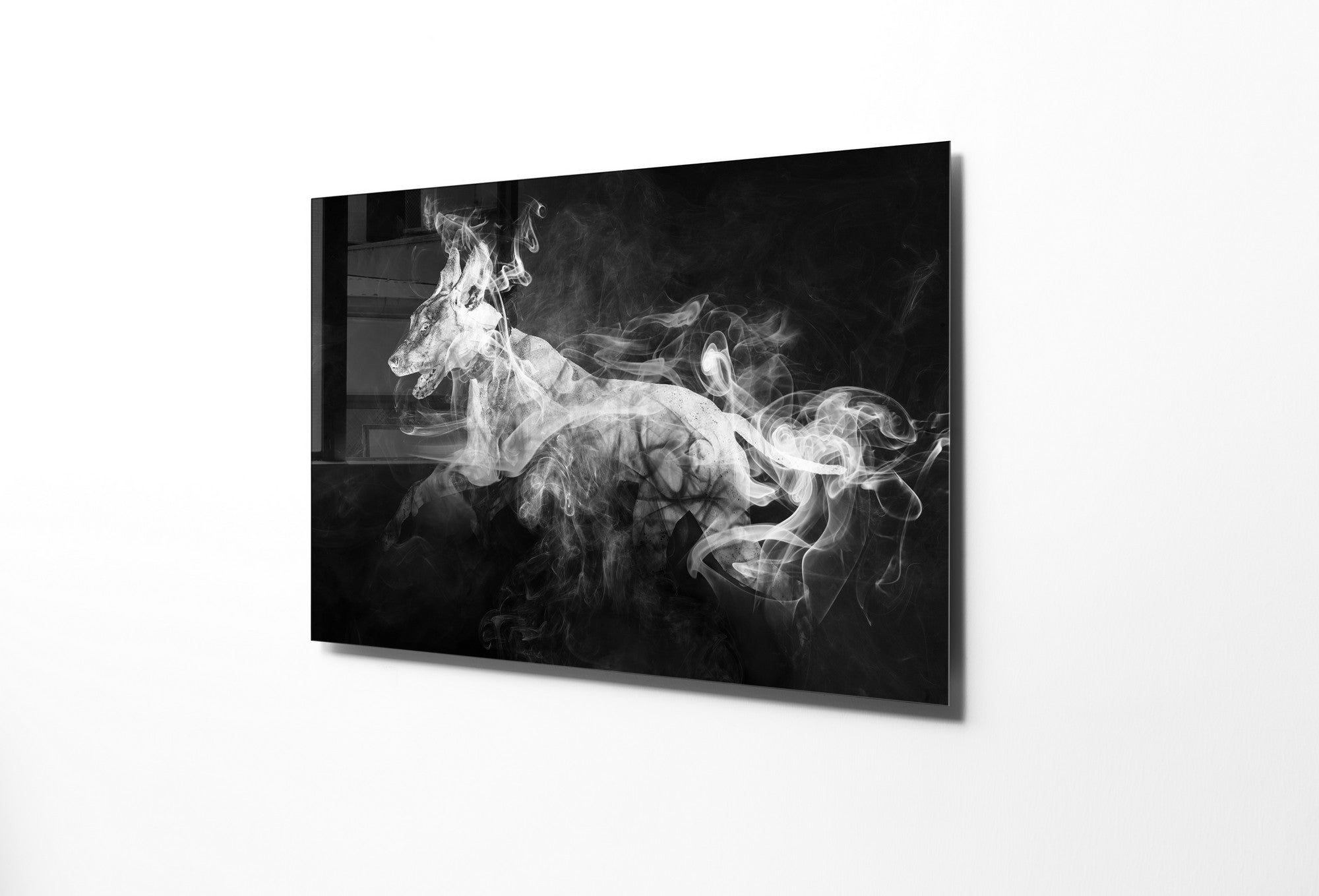 970GLS1561Tribo Home