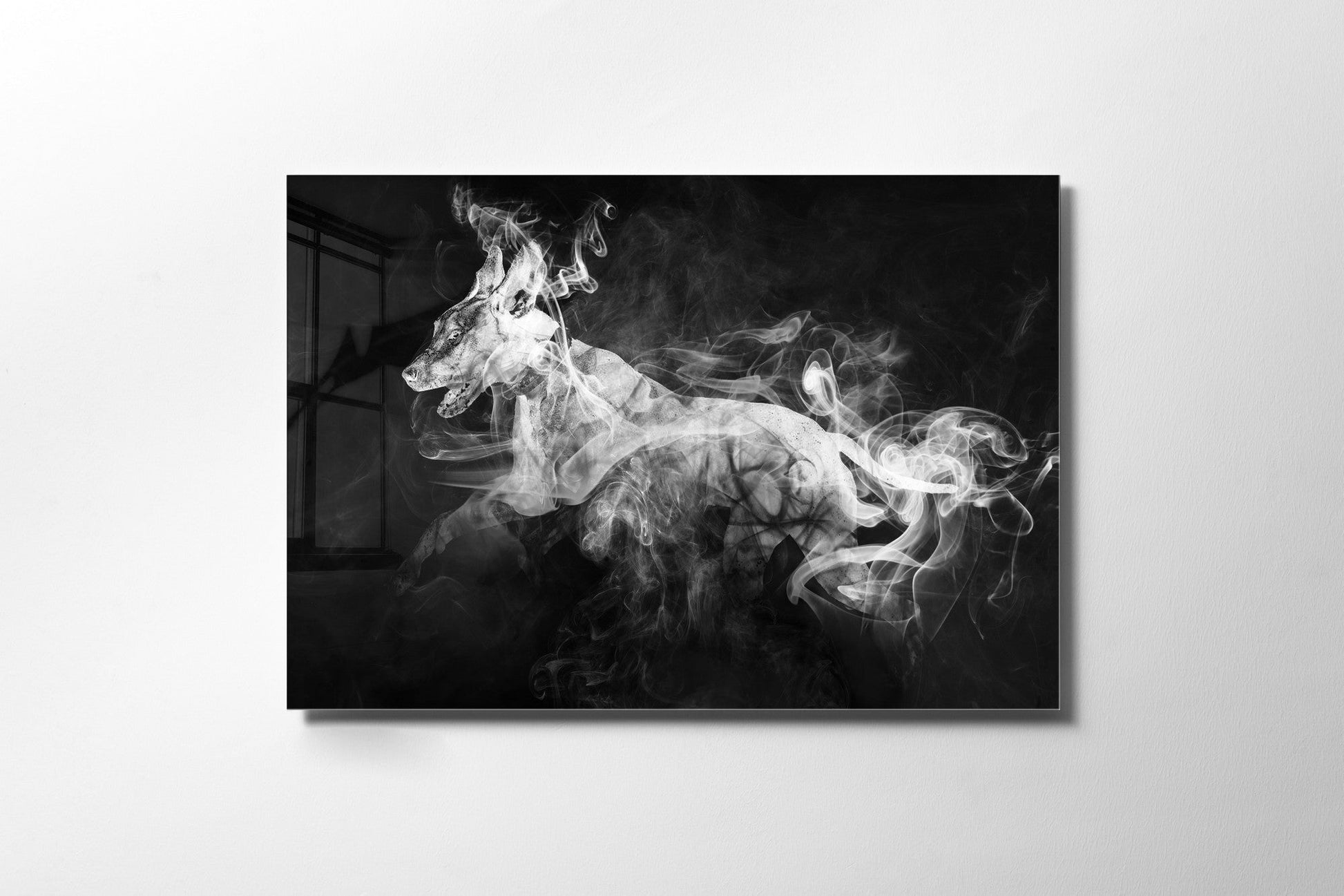 970GLS1564Tribo Home