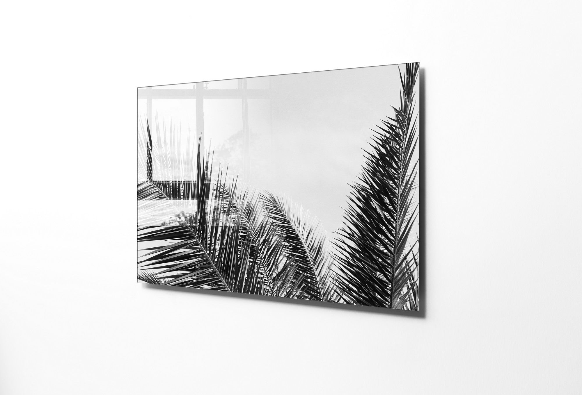 970GLS1631Tribo Home