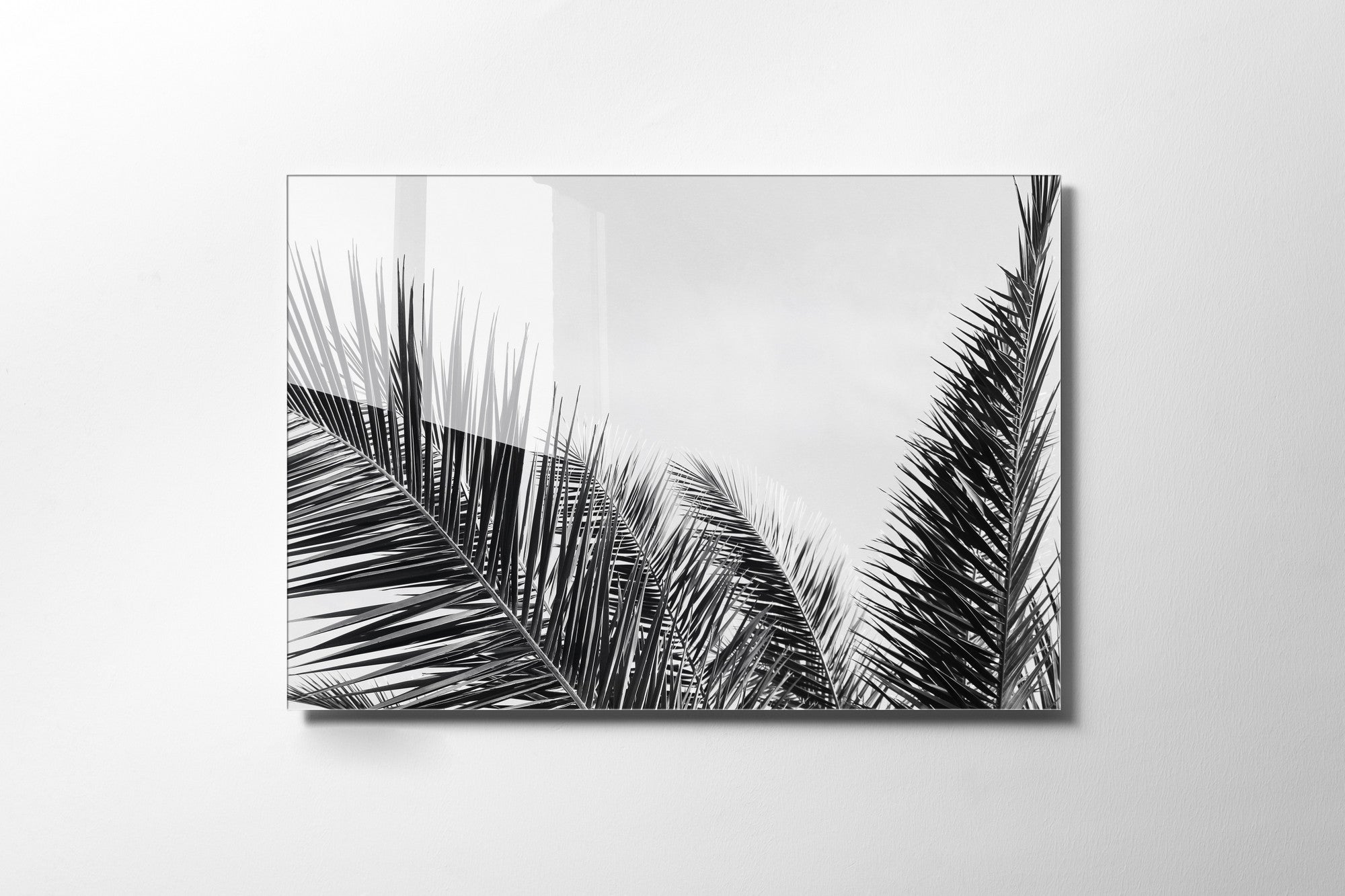 970GLS1631Tribo Home