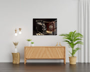 970GLS1644Tribo Home